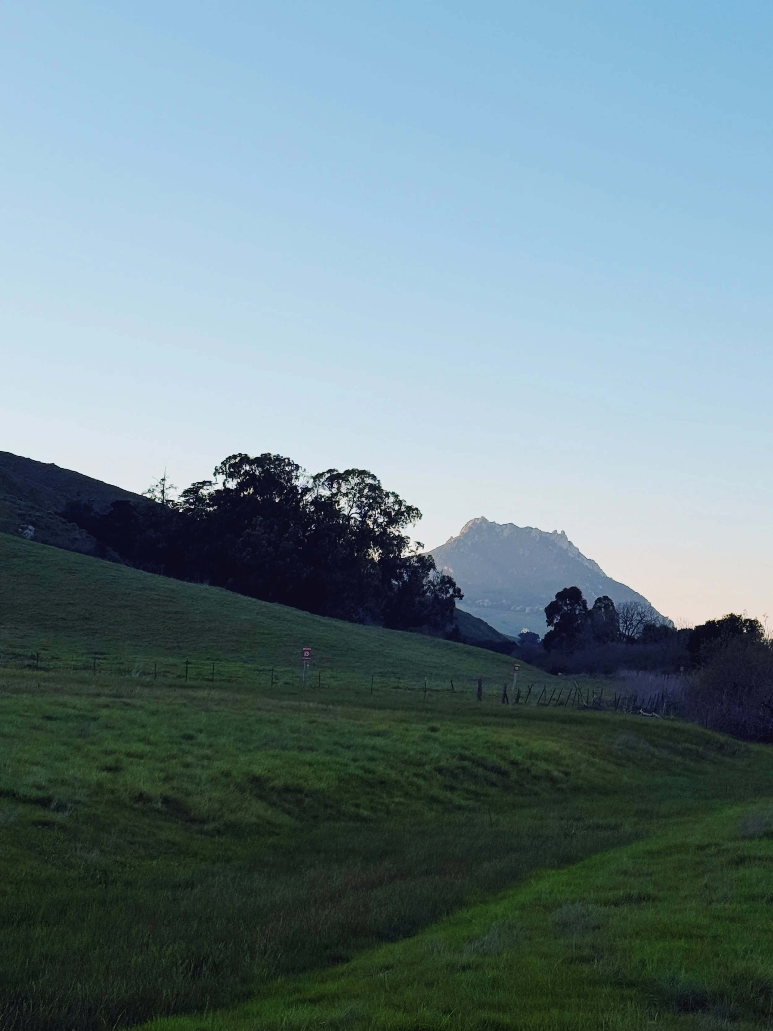 PLANTING FOR THE FUTURE, ONE TREE (&amp; PLOT) AT A TIME!