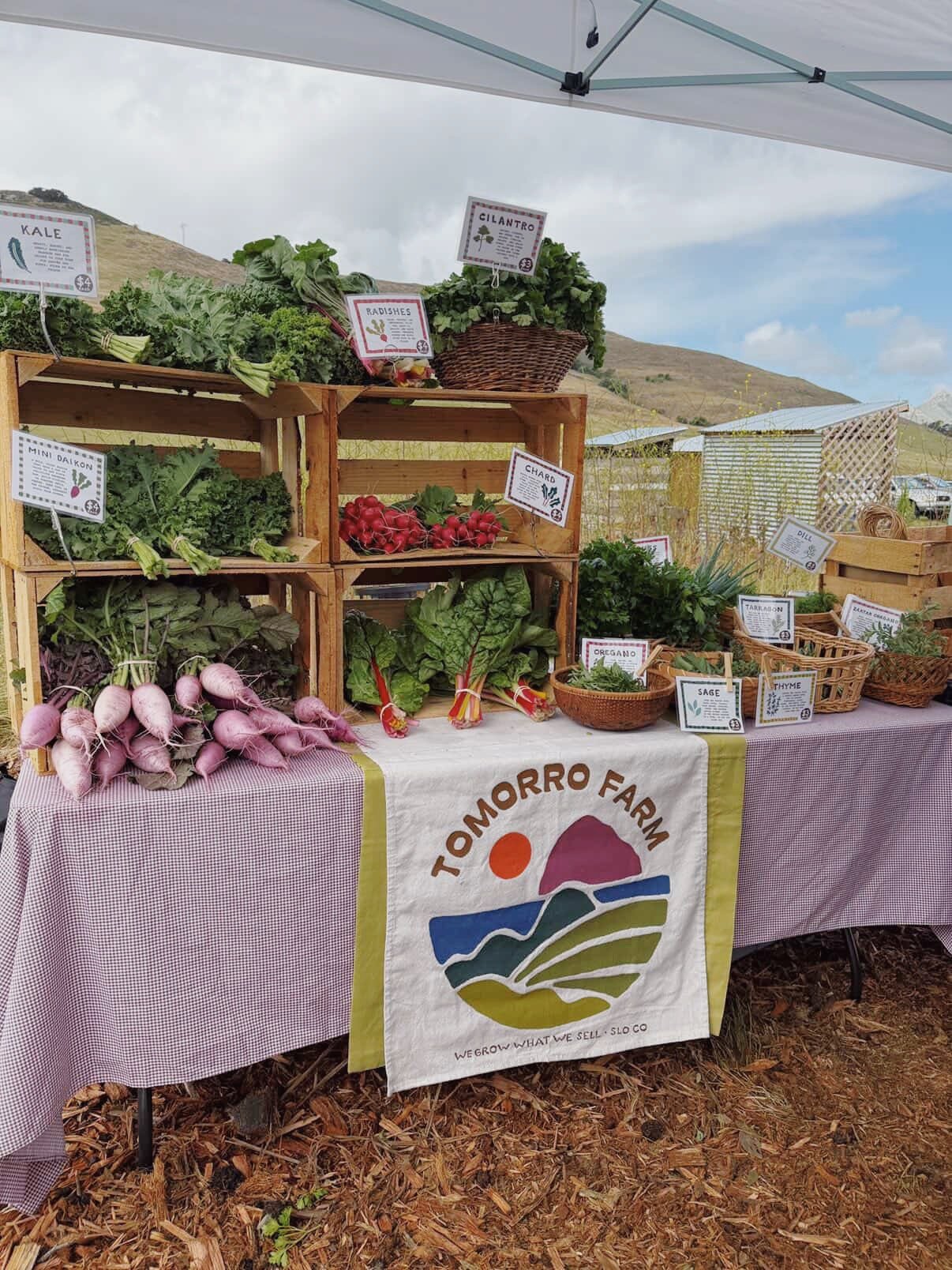 Our First Farmstand + Where to Find Us Next