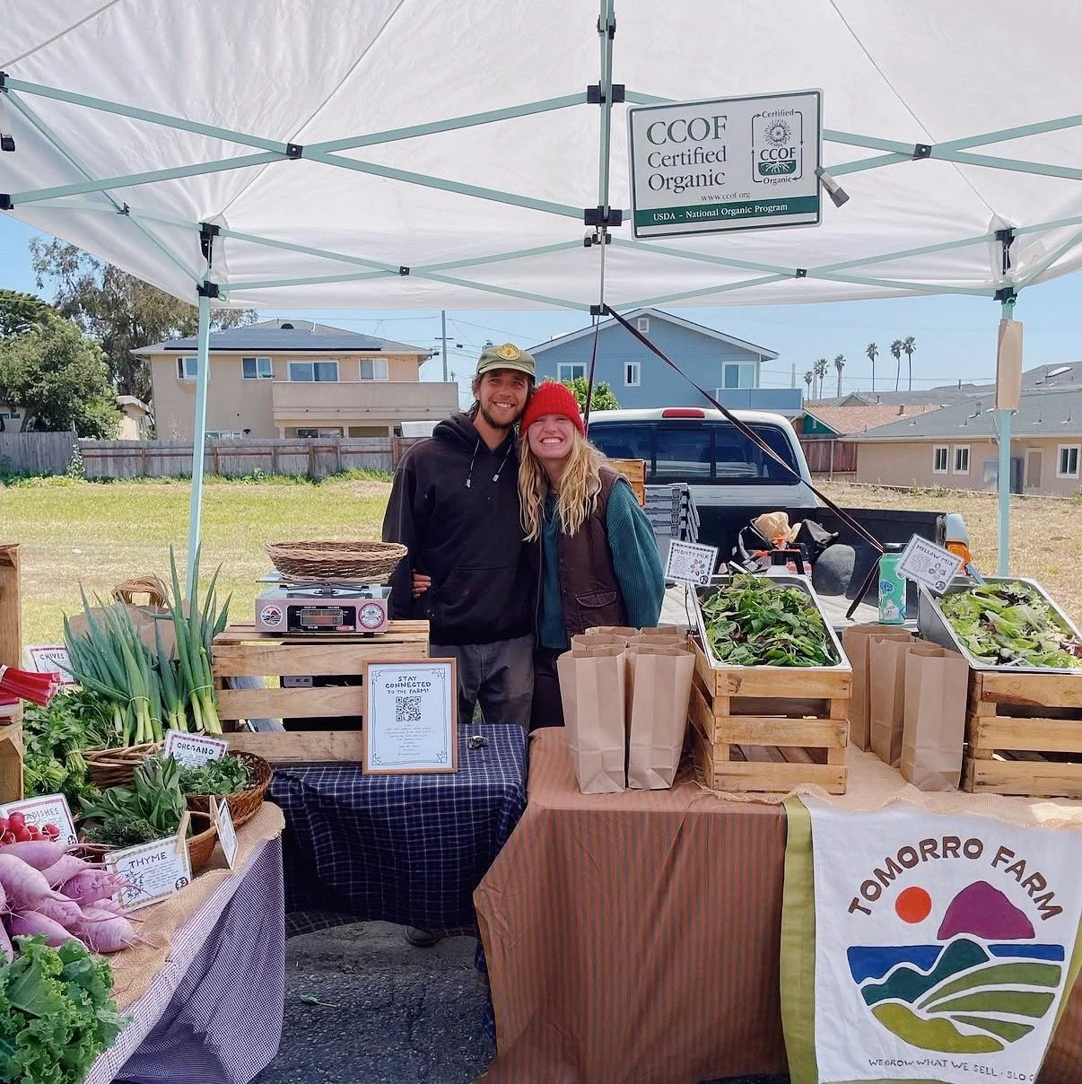 WHAT A WEEK: 1,600 PLANTS + FIRST MARKET