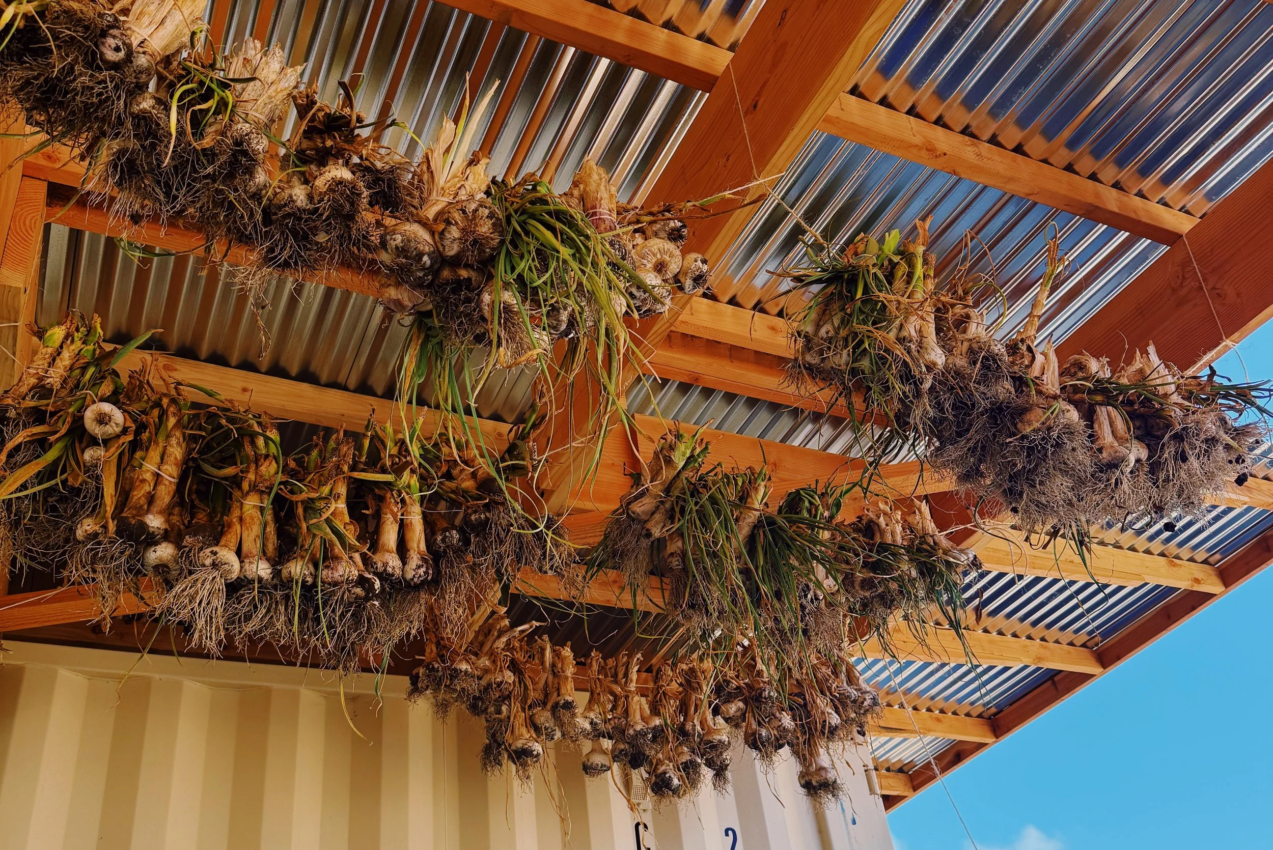WHAT IT TAKES TO RUN A QUARTER ACRE FARM