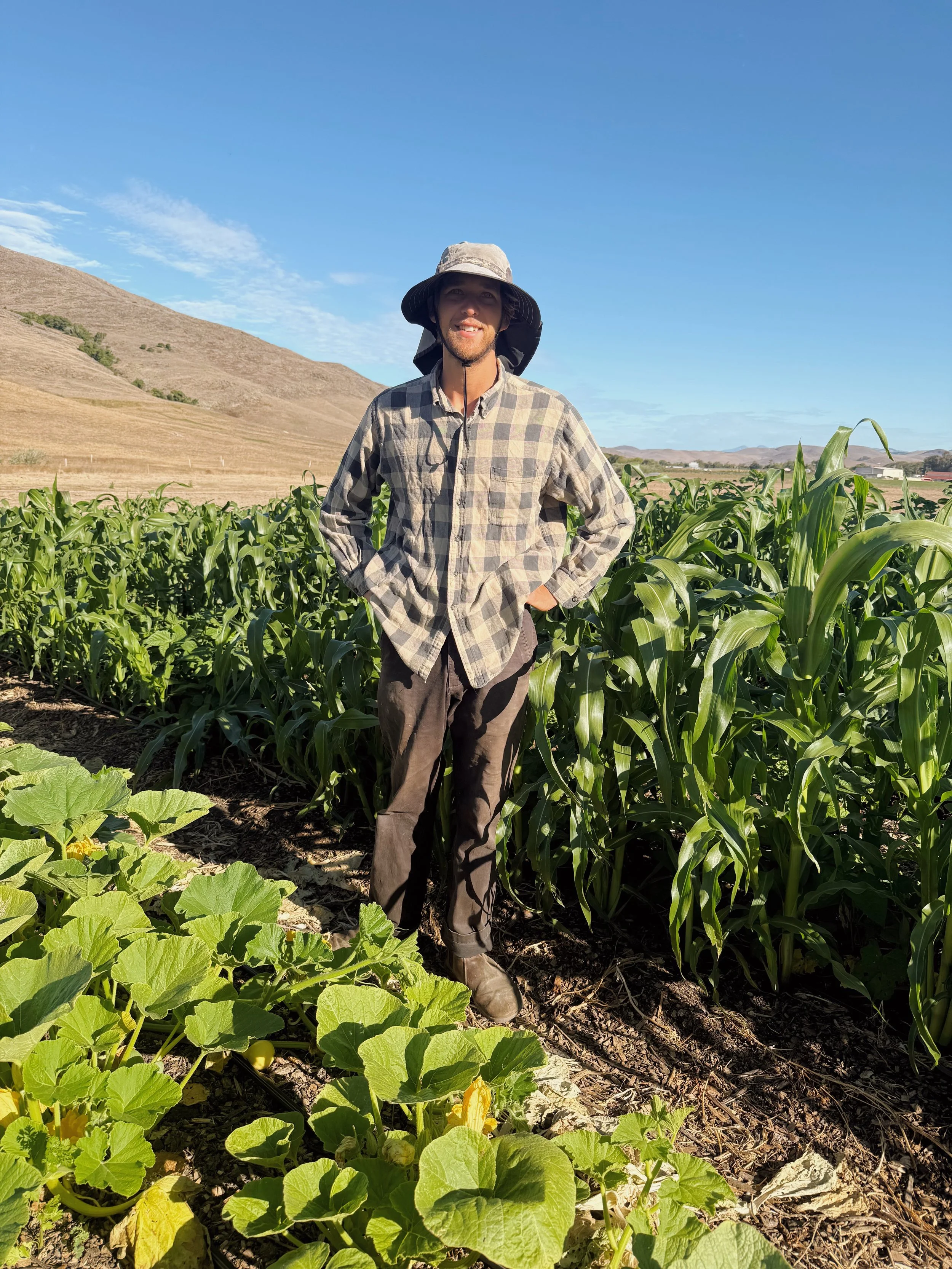 Our Milpa Experiment &amp; A Mid-Season Survey 🌽