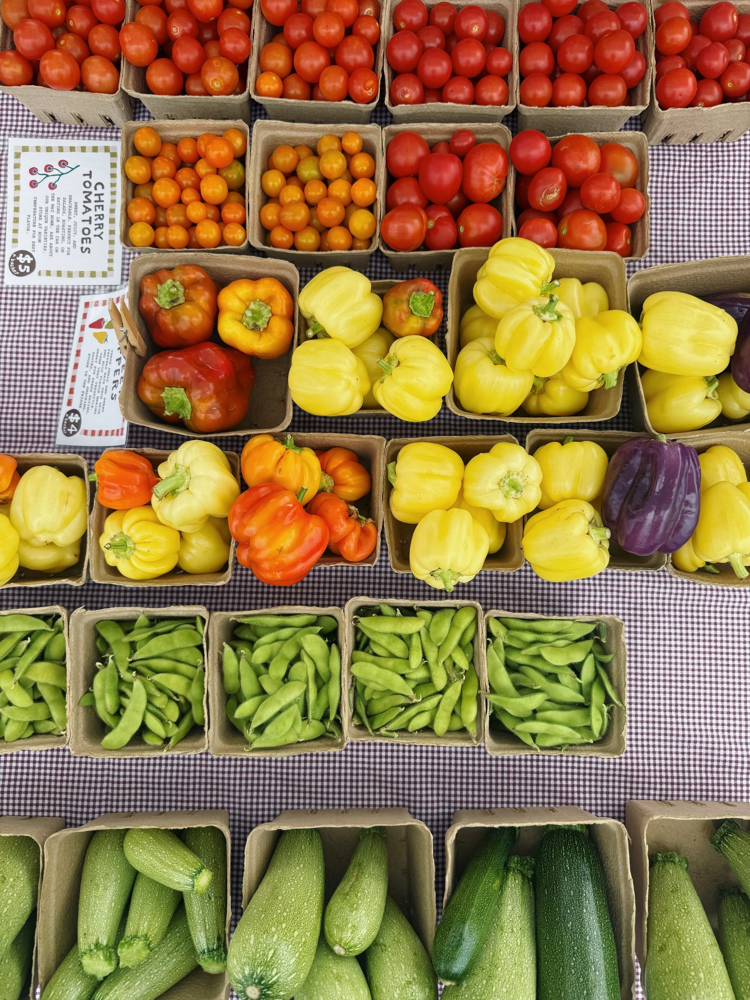 SAVING SEED &amp; SAVING SUMMER