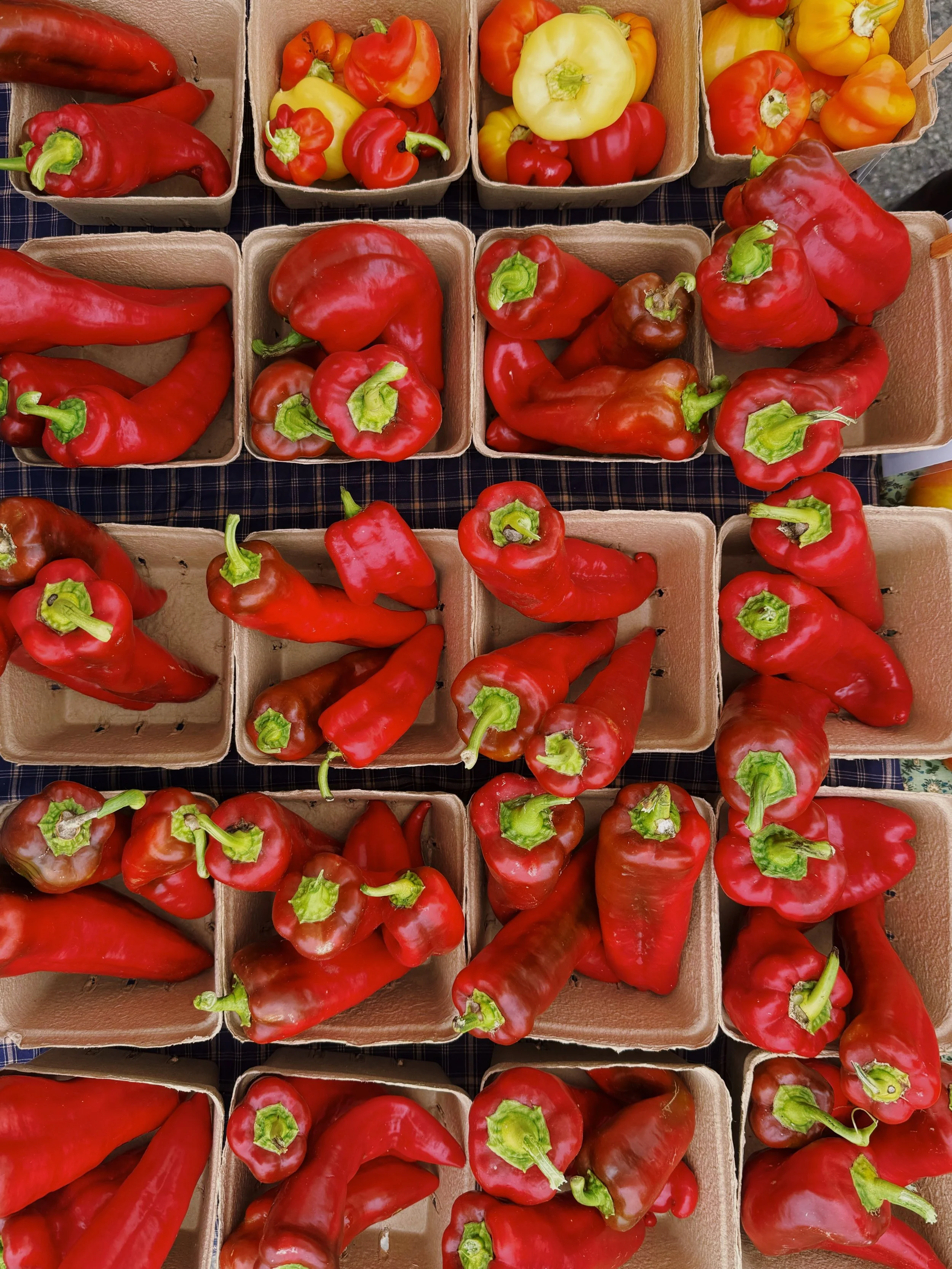 ROASTED PEPPER SAUCE RECIPE