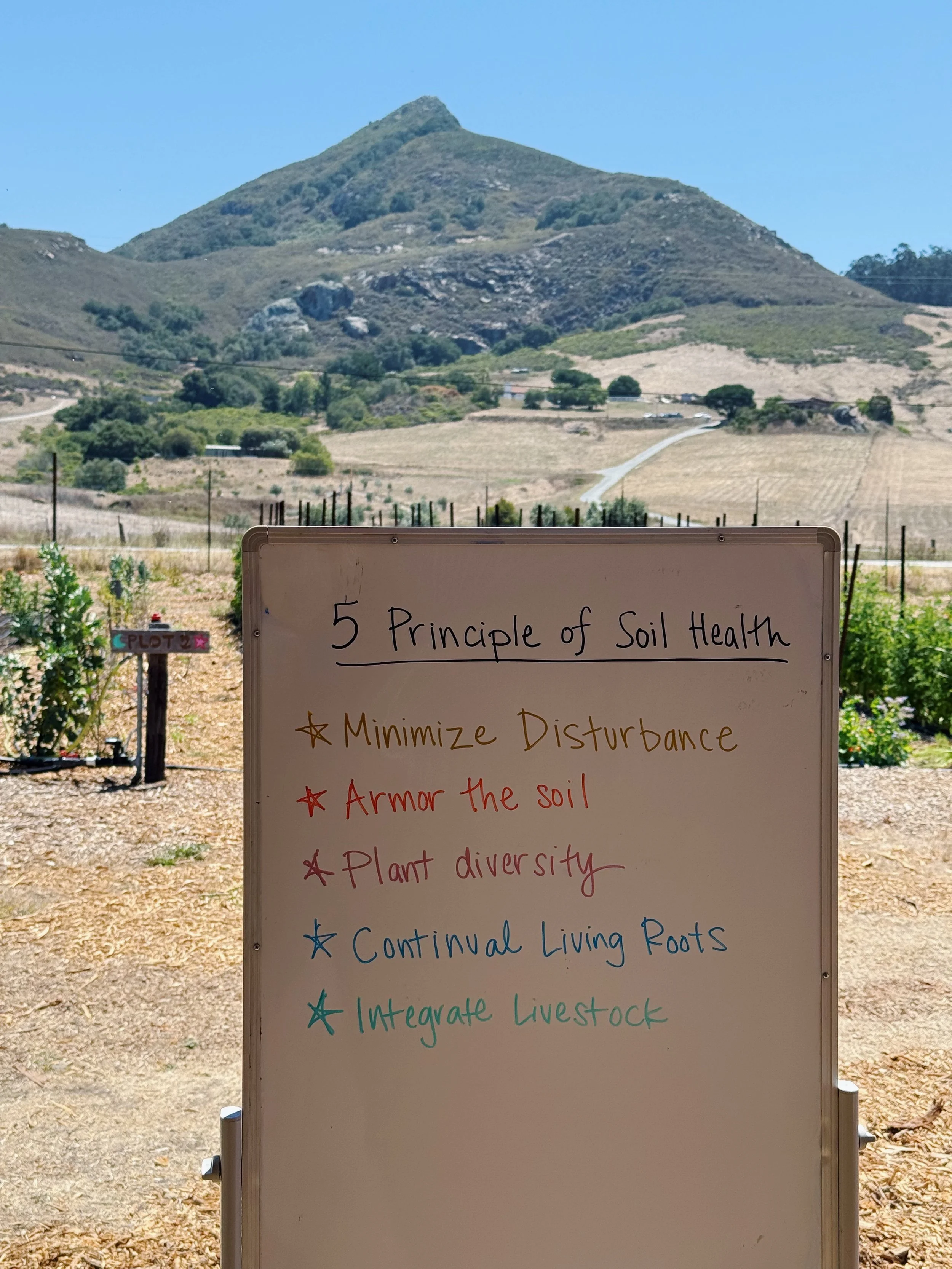 five principles of soil health