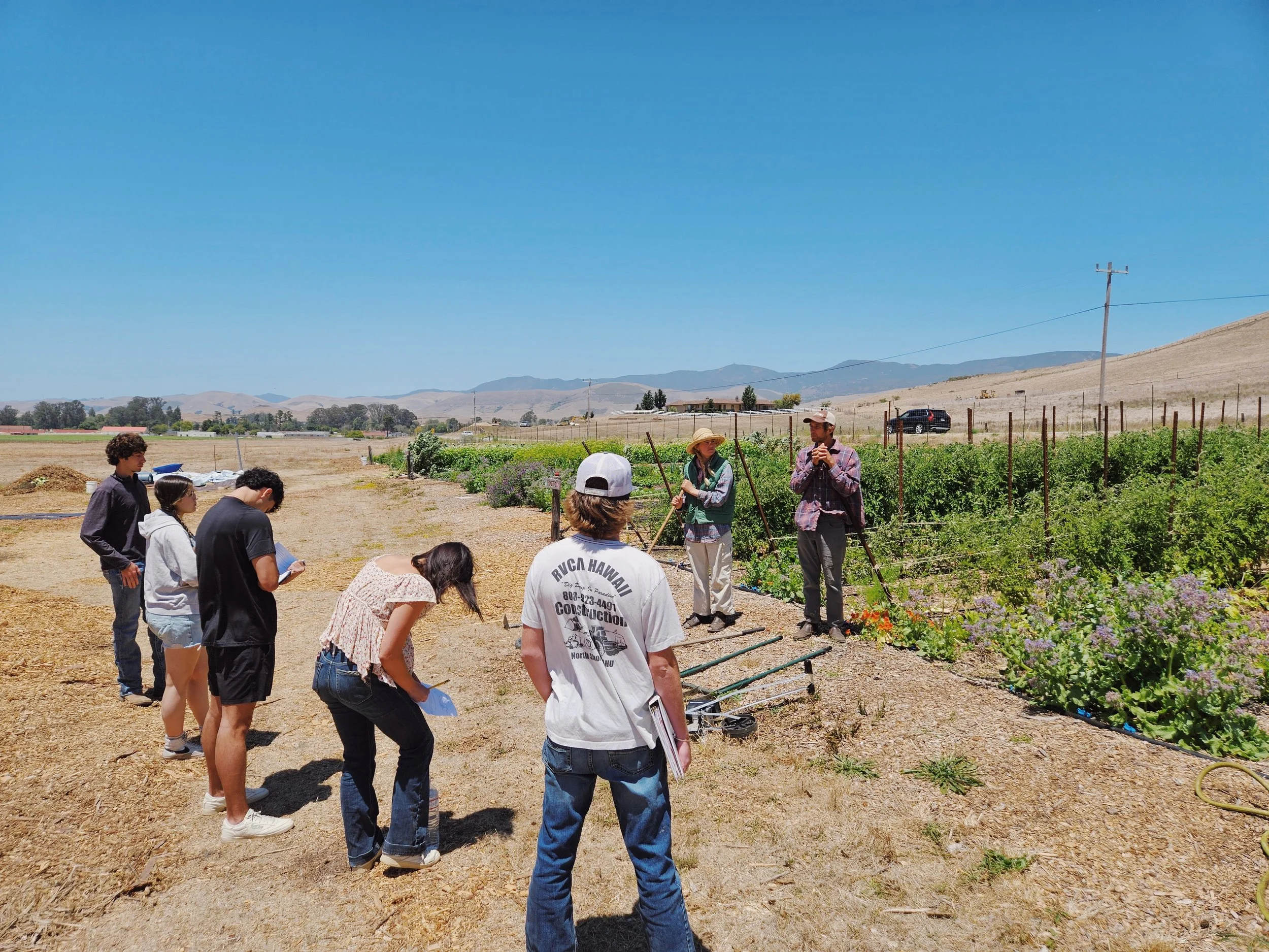 healthy soils plant diversity