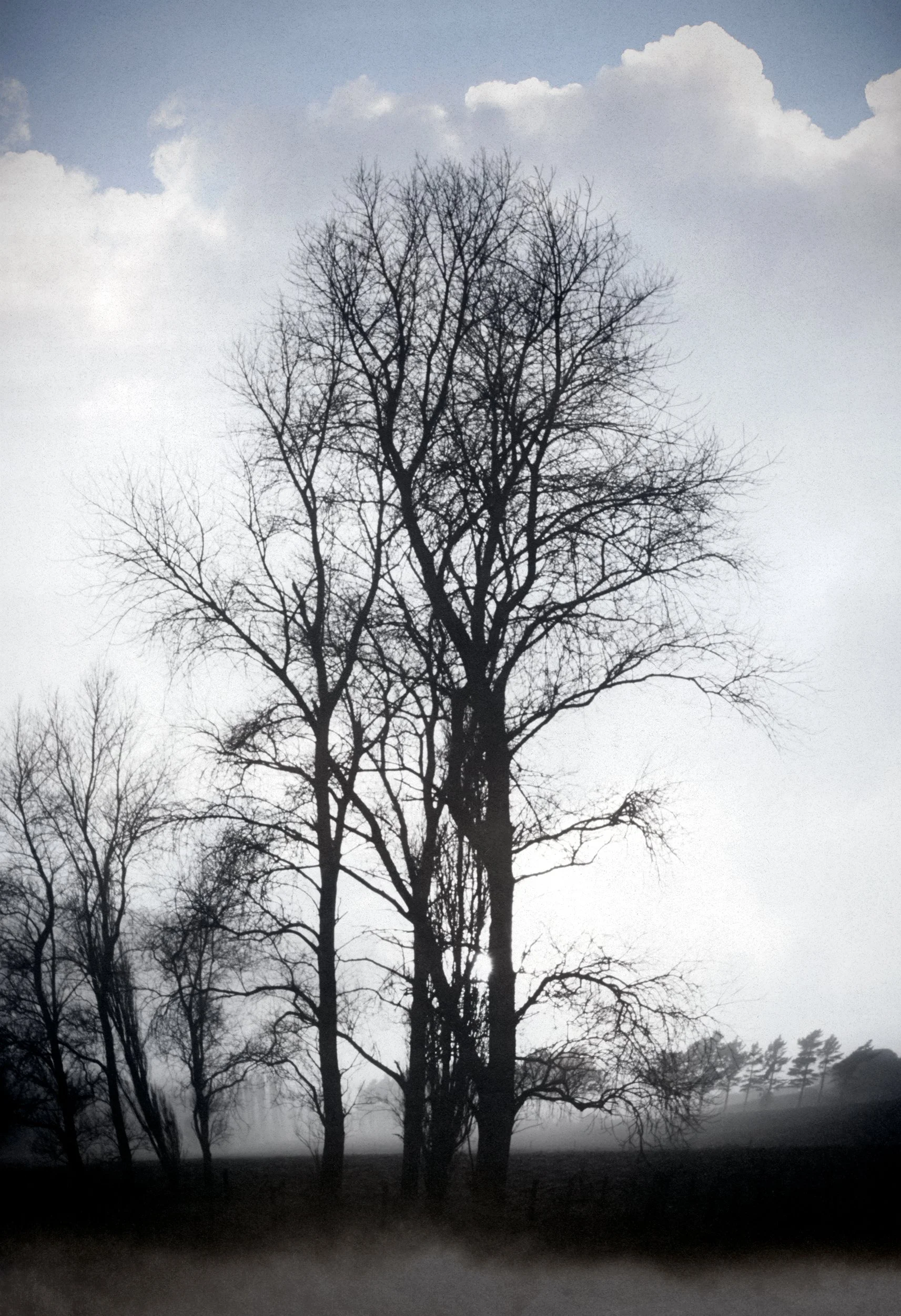 First Light