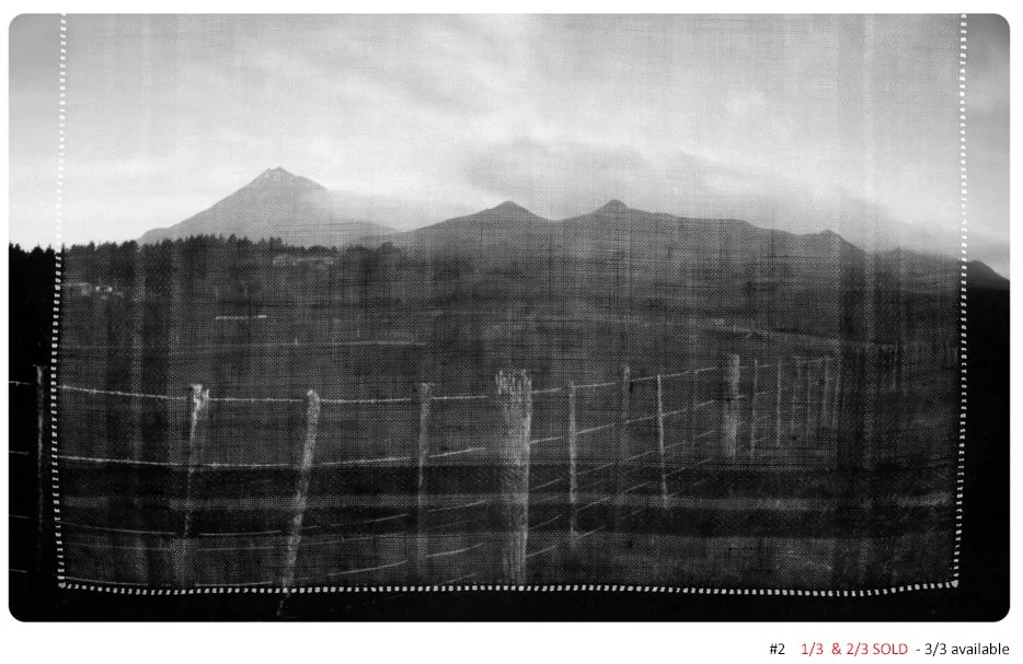 #2_Warp and Weft _Aug21.jpg