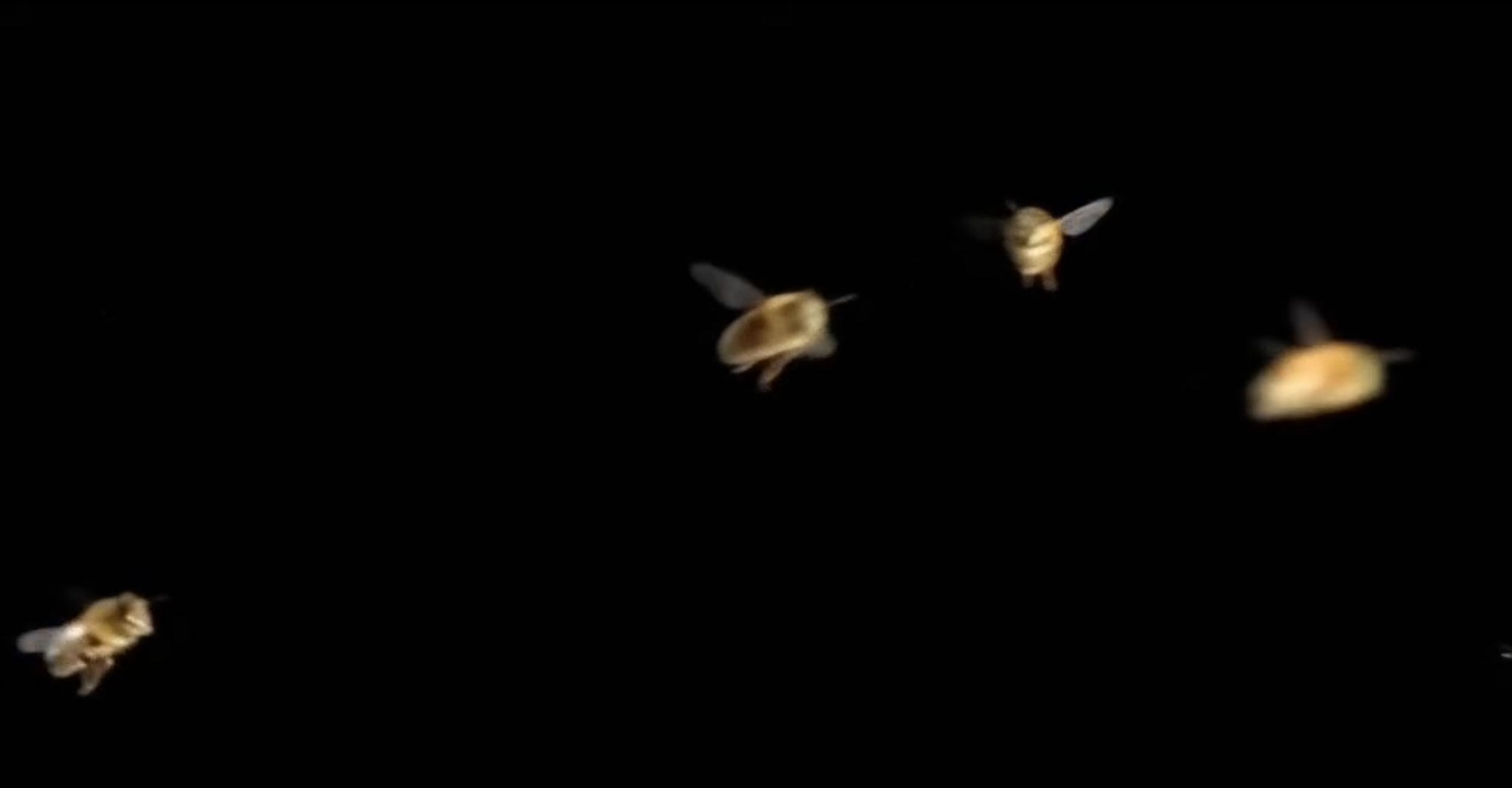 Screenshot 2025-12-13 at 9.42.37 PM.png