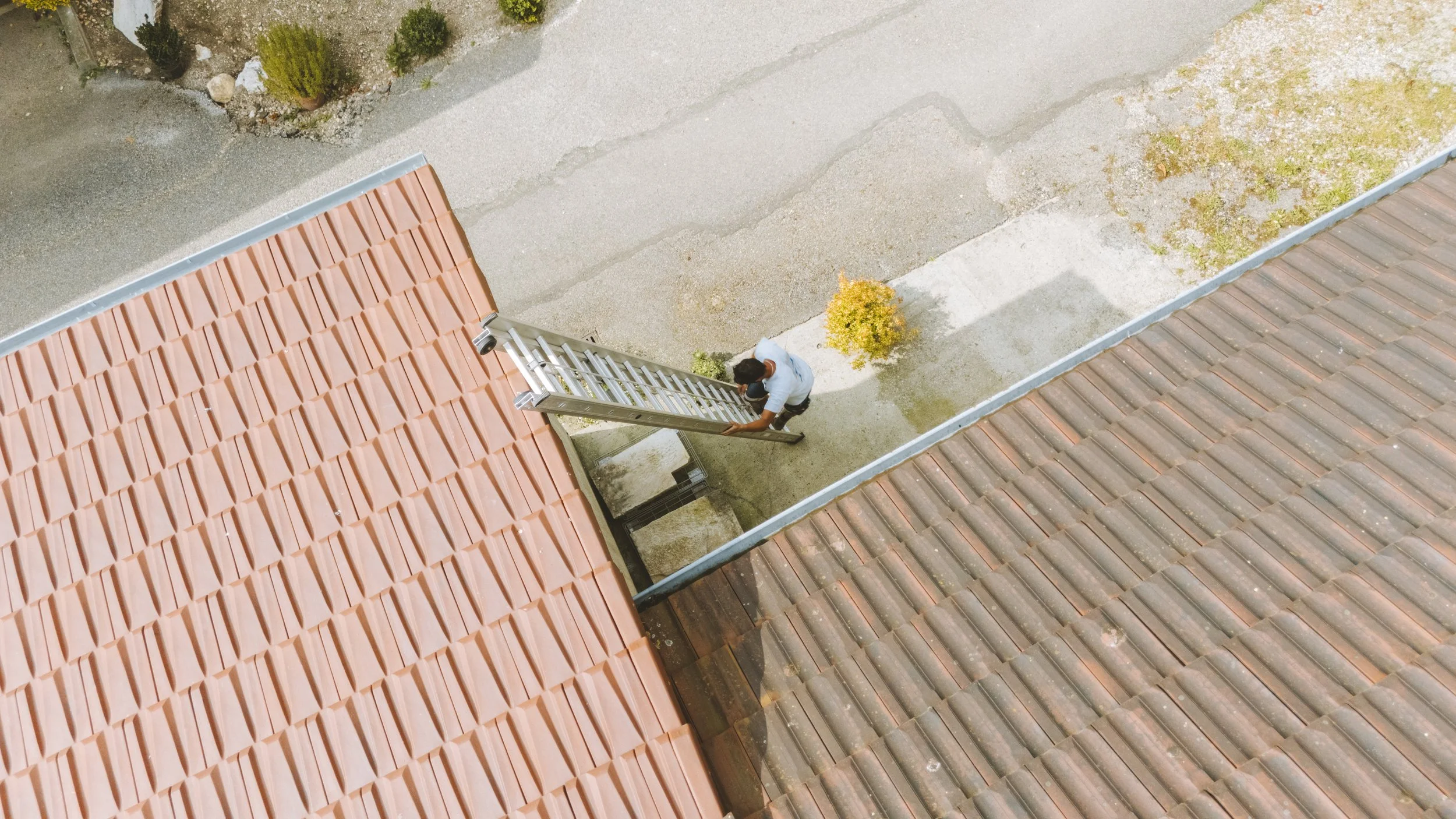 JM CHARPENTE MIKE JUSSELME AIN-20 2.jpeg