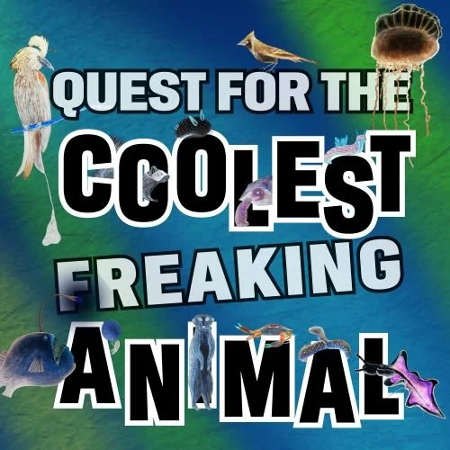Quest for the Coolest Freaking Animal