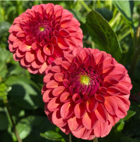 Screenshot 2026-03-17 at 10.13.41 AM.png