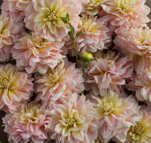 Screenshot 2026-03-31 at 9.23.53 PM.png