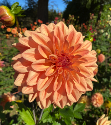 Screenshot 2026-03-17 at 10.14.07 AM.png