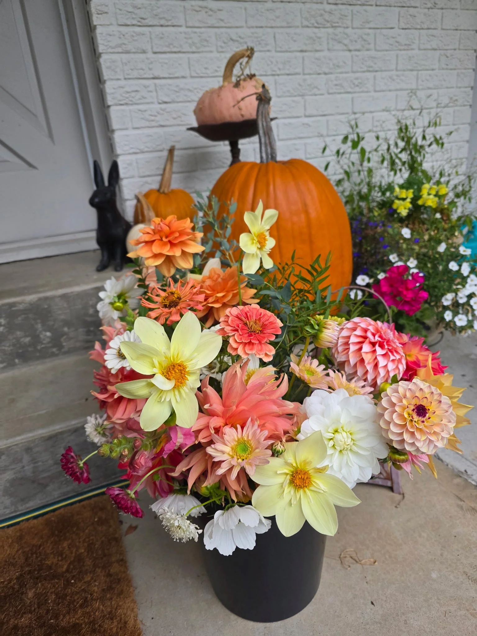 Colorful bouquet of various flowers in a black pot on a concrete porch with pumpkins, a black rabbit figurine, and potted flowers in the background.