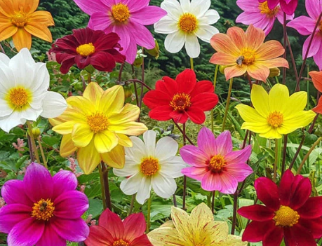 Screenshot 2026-03-17 at 5.06.11 PM.png