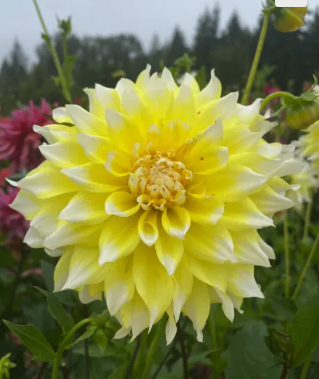 Screenshot 2026-03-19 at 7.35.05 PM.png