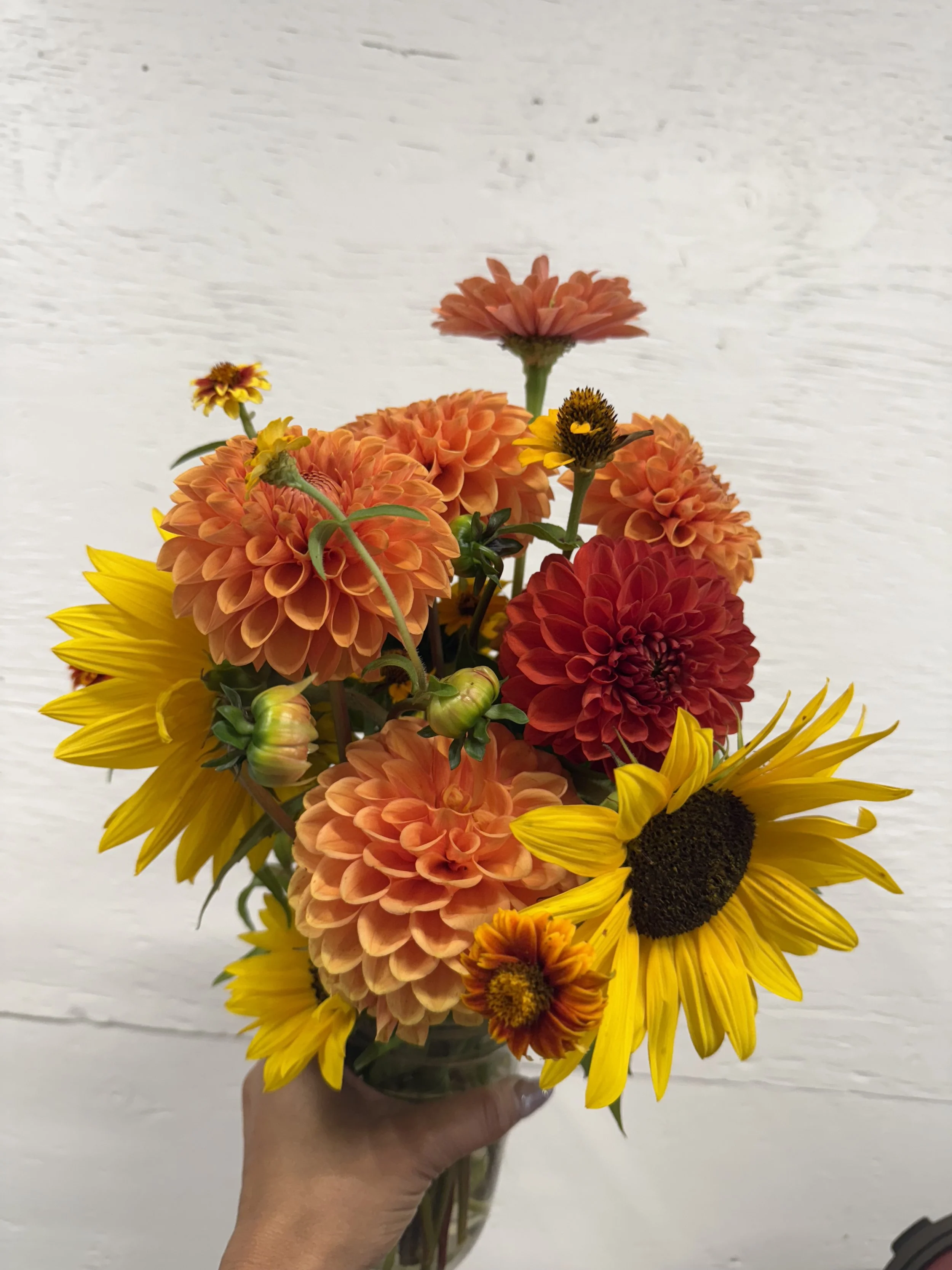 A hand holding a glass vase filled with a colorful bouquet of orange, yellow, and red flowers, including dahlias, sunflowers, and zinnias, against a white textured background.