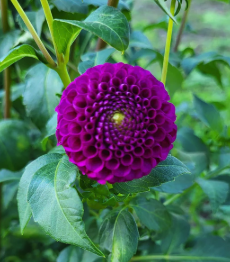 Screenshot 2026-03-18 at 6.30.14 PM.png