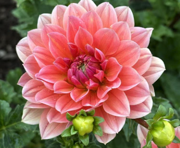 Screenshot 2026-03-30 at 7.26.13 PM.png