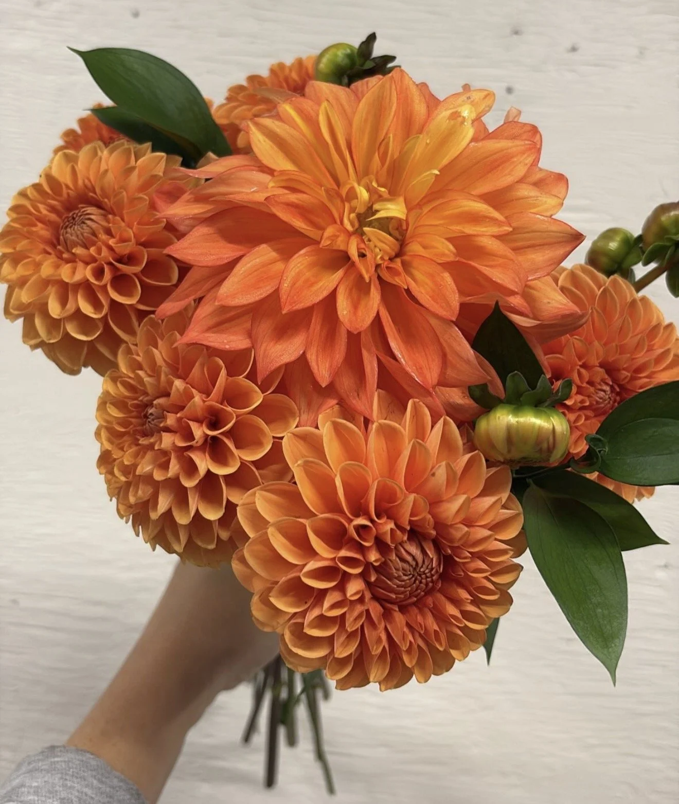 A bouquet of orange dahlias and dahlias with large, layered petals, set against a plain light background.