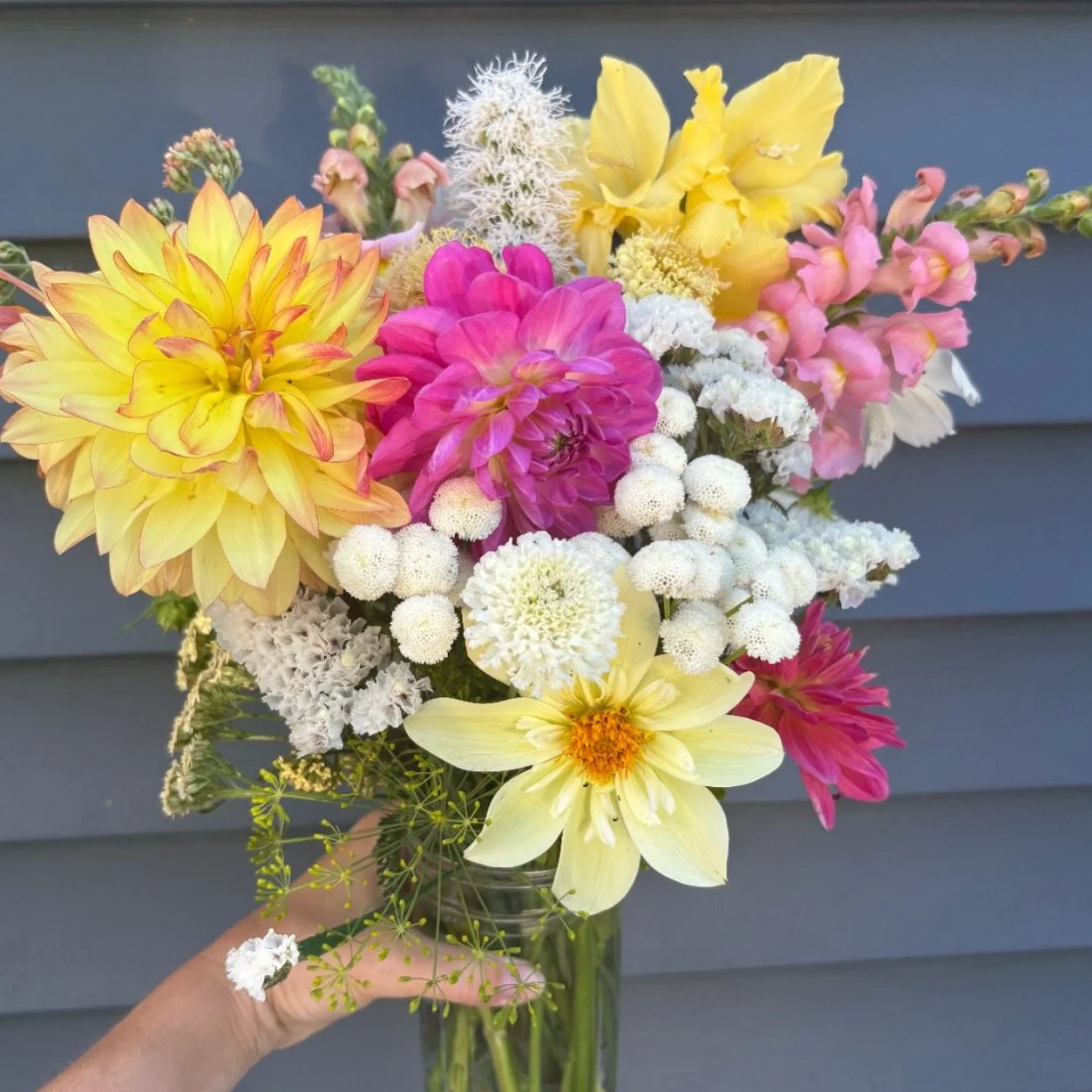 Colorful bouquet of various flowers including dahlias, snapdragons, and white pompom flowers in a glass vase held by a person's hand against a gray wooden background.