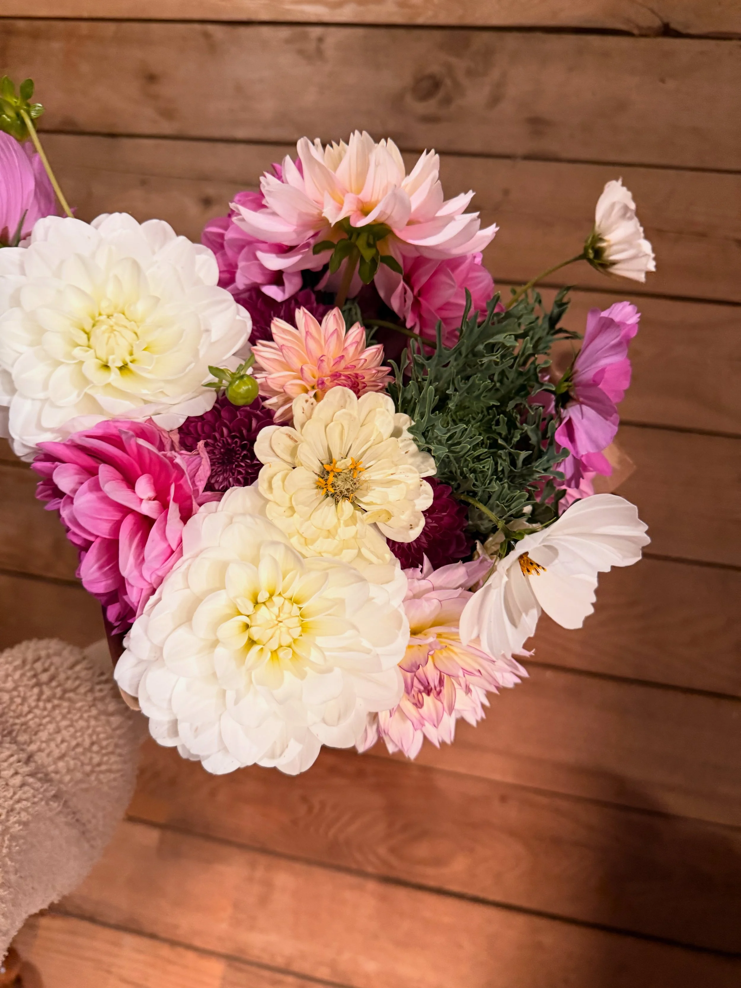 A colorful bouquet of various flowers, including white, pink, and cream-colored dahlias, and a white butterfly or moth on a white flower, held against a wooden background.