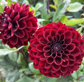 Screenshot 2026-03-18 at 6.18.29 PM.png