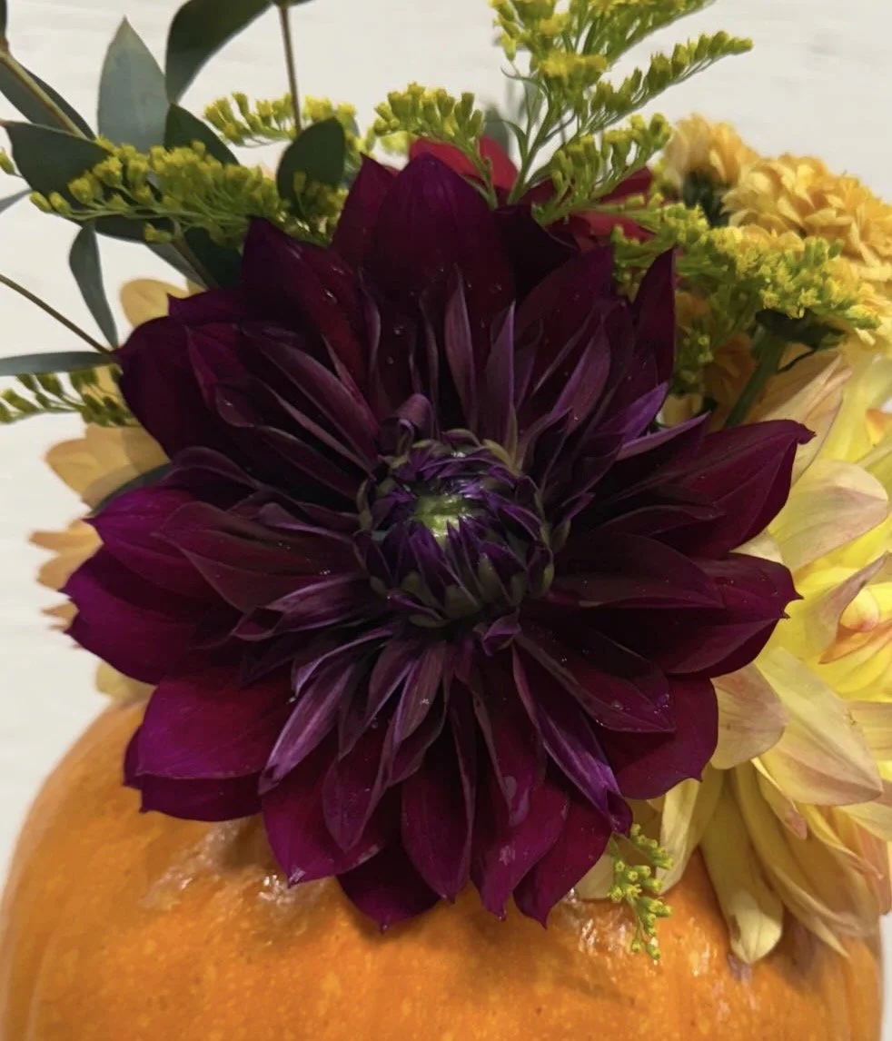 Fall floral arrangement with purple, yellow, and orange flowers in an orange pumpkin