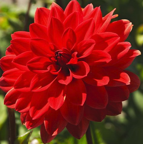 Screenshot 2026-03-30 at 7.12.40 PM.png