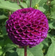 Screenshot 2026-03-18 at 6.30.25 PM.png