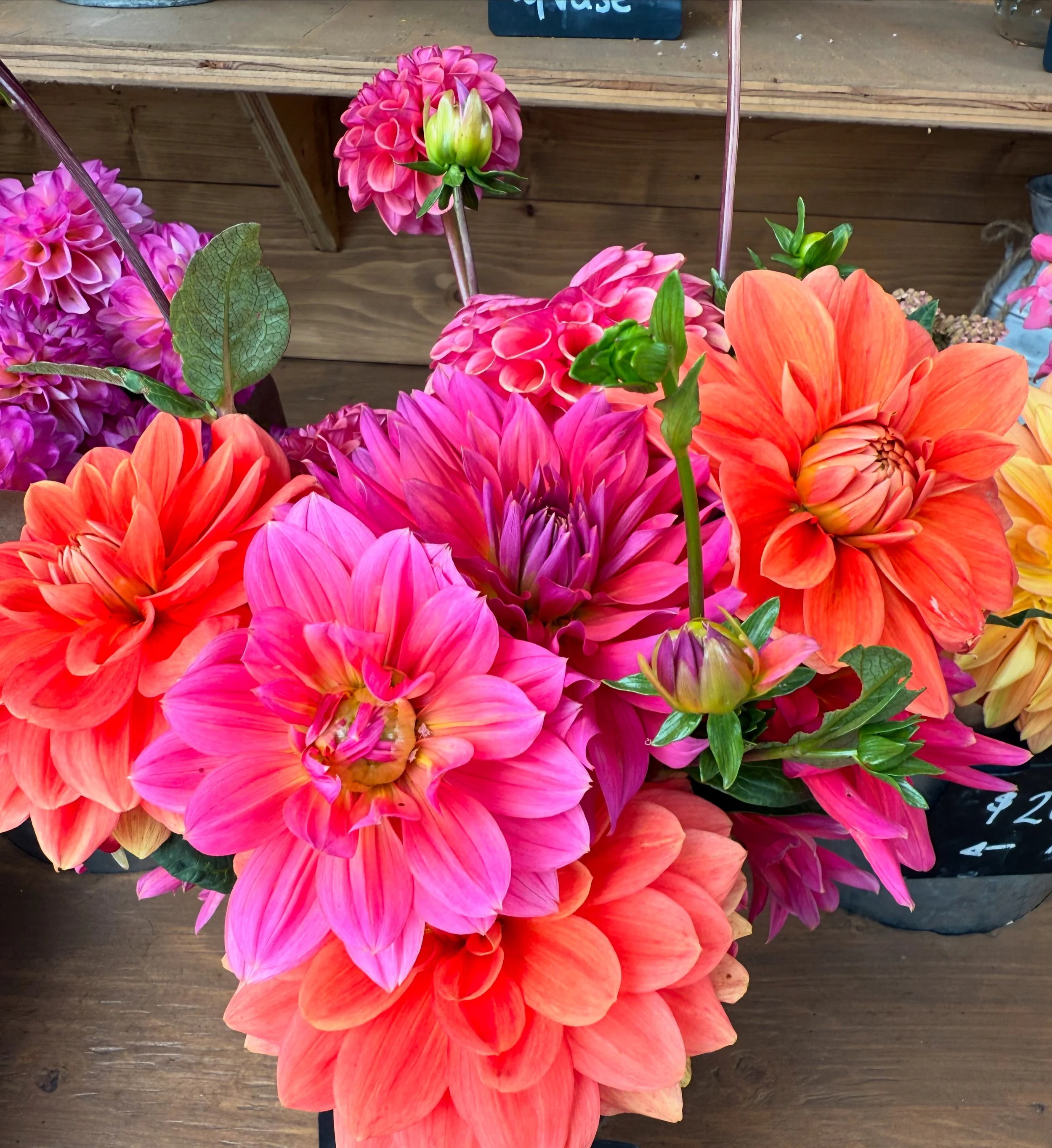 Bright orange and pink dahlias arranged together in a bouquet.