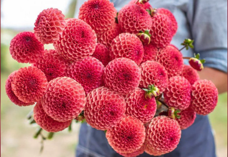 Screenshot 2026-03-19 at 5.14.53 PM.png