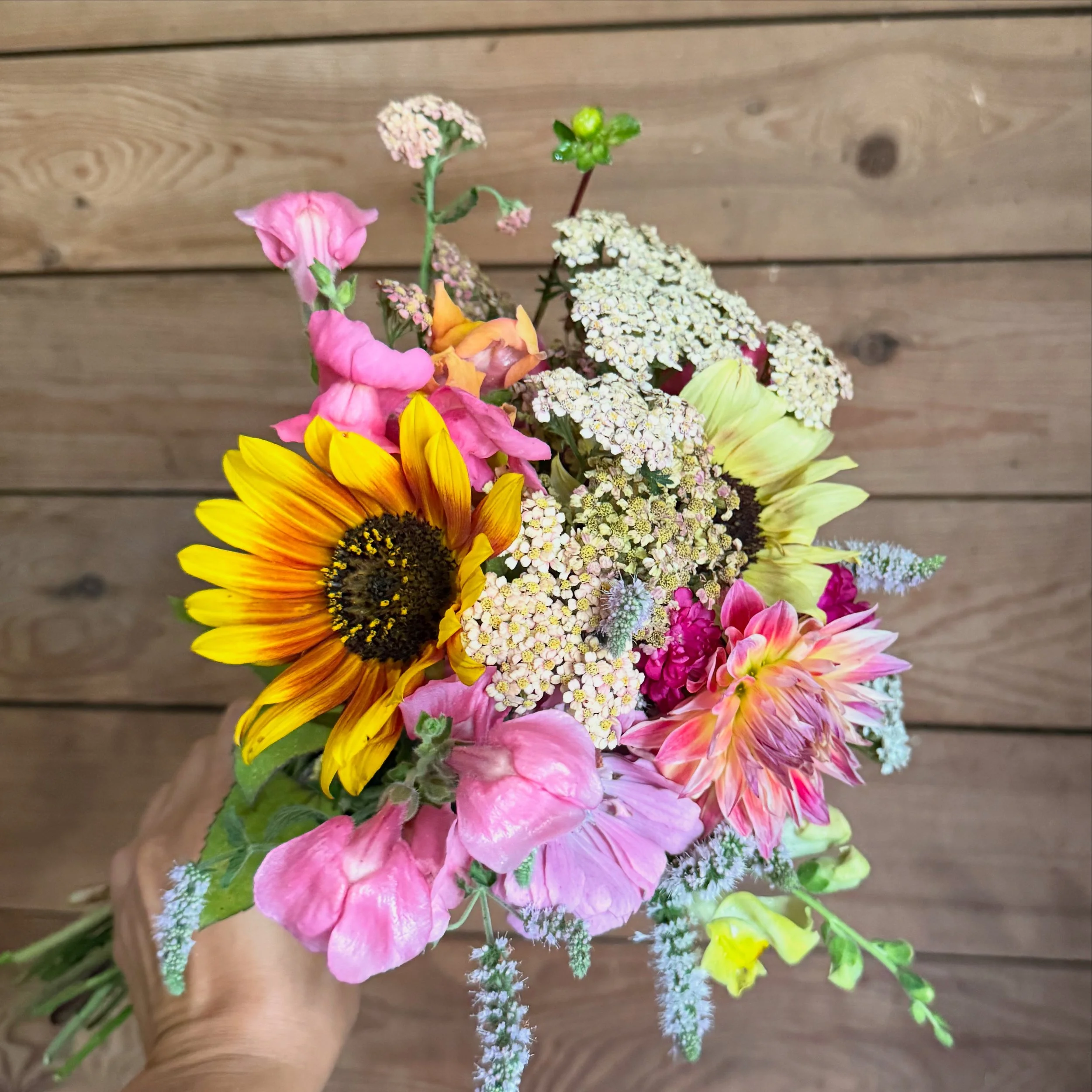 Colorful bouquet of various flowers including sunflowers, pink flowers, white small blossoms, and other colorful blooms held by a hand against a wooden background.