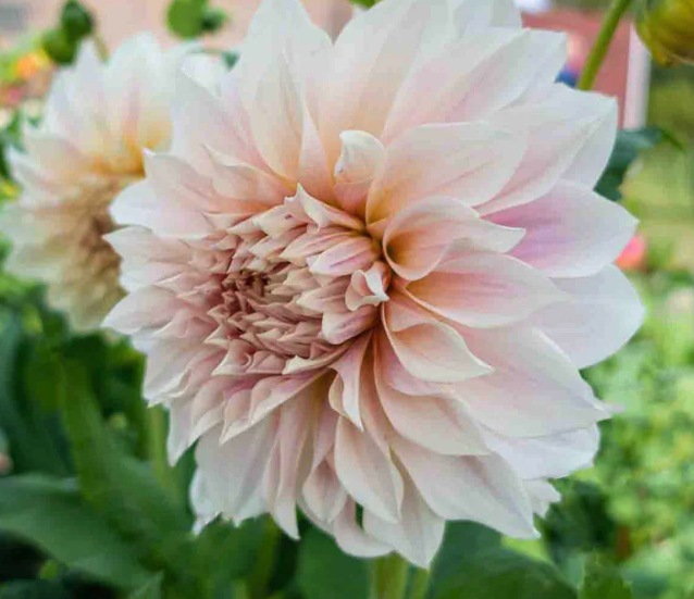 Screenshot 2026-03-19 at 5.18.21 PM.png