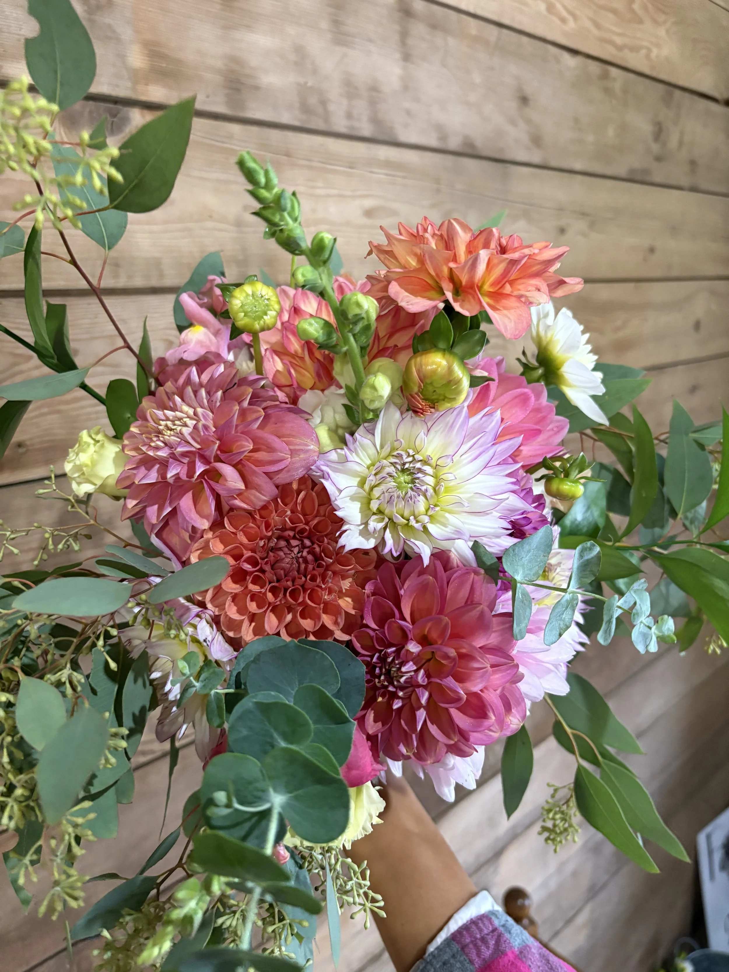 A colorful bouquet of various flowers including dahlias and ranunculus, accented with green leaves and eucalyptus, held in a hand with a plaid sleeve against a wooden background.