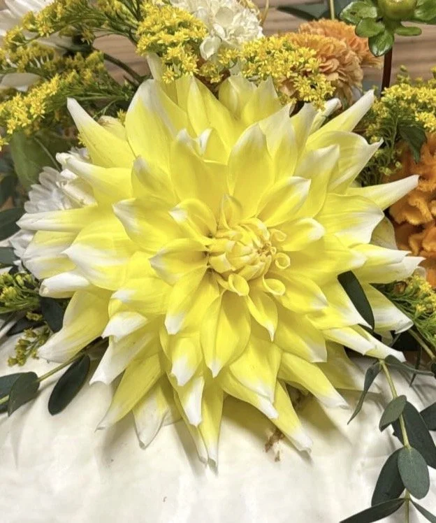 Close-up of a large yellow and white dahlia flower with layered petals, surrounded by smaller yellow, white, and orange flowers and green leaves.