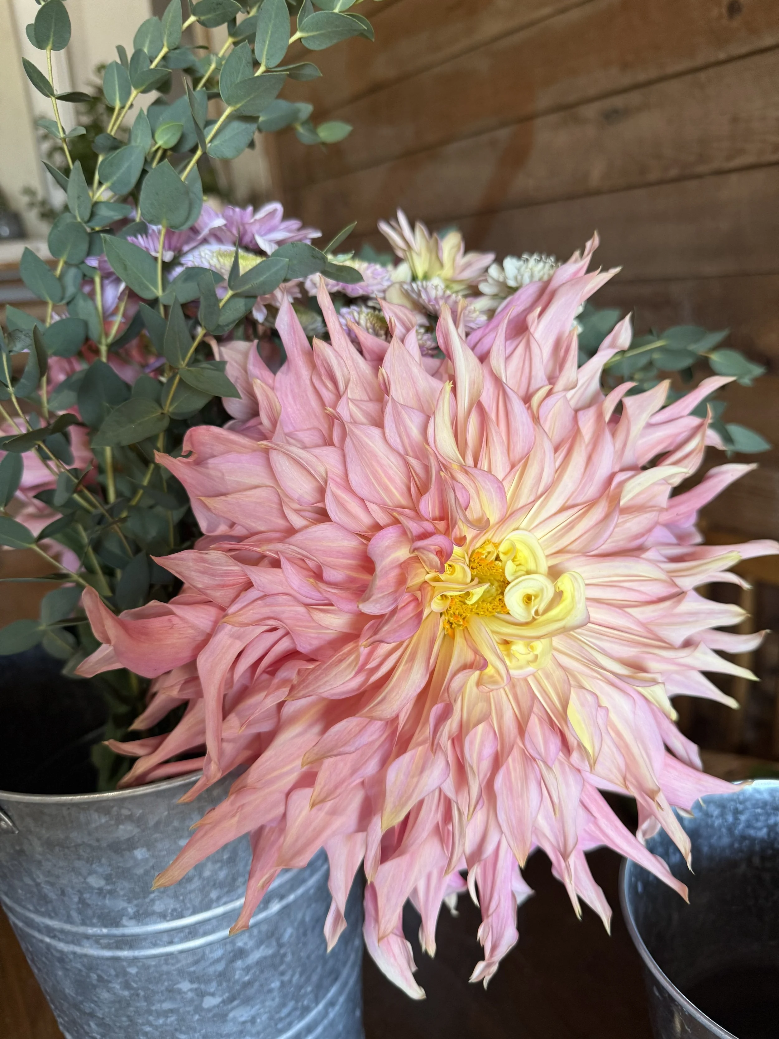 Labyrinth Dinnerplate