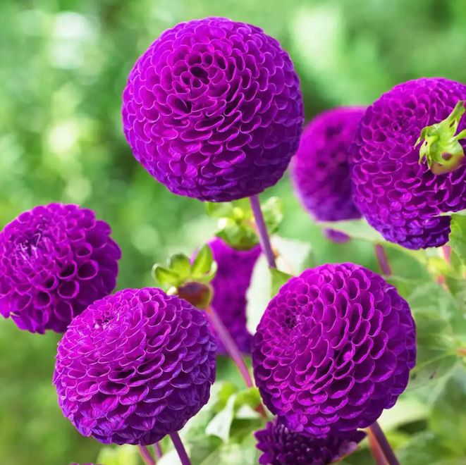 Screenshot 2026-03-18 at 6.28.01 PM.png