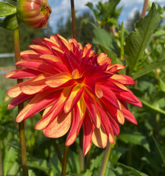 Screenshot 2026-03-17 at 5.10.13 PM.png