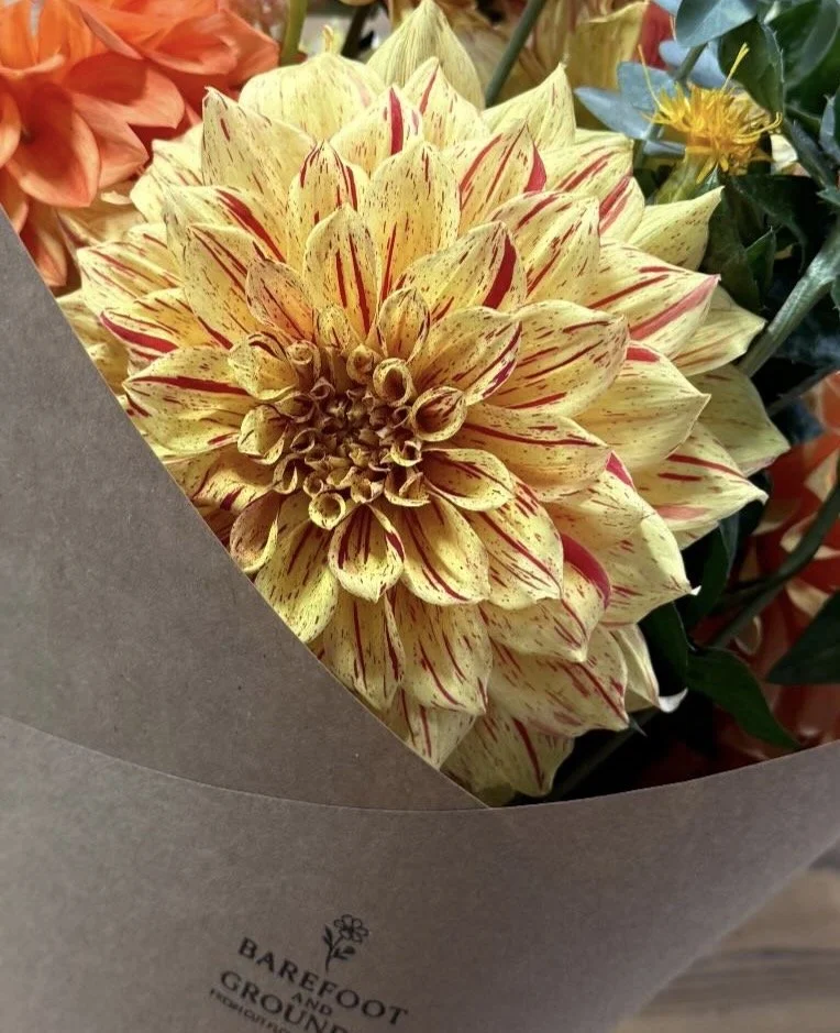 A yellow dahlia flower with red streaks in a paper wrap, surrounded by other colorful flowers and greenery.