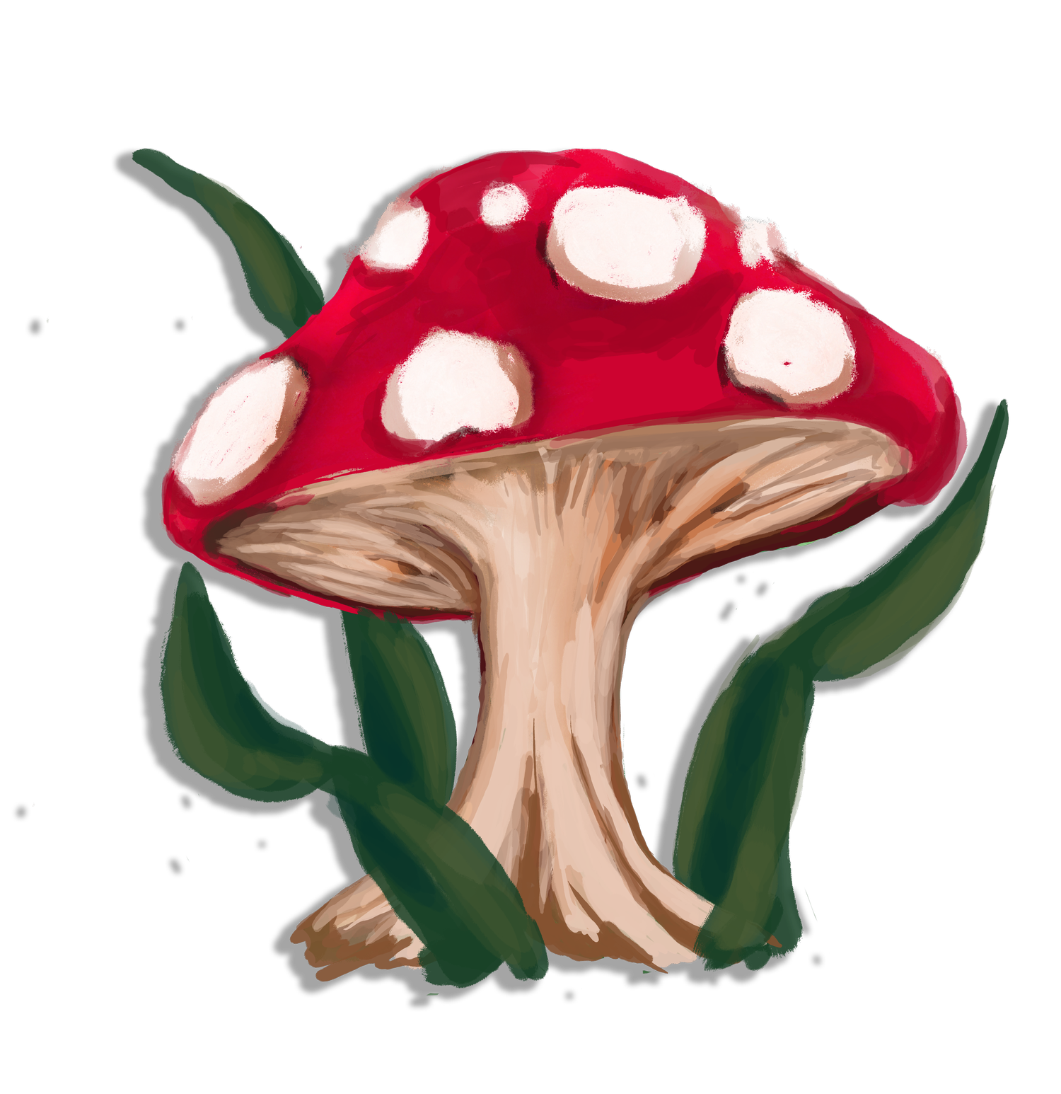 Toadstool Books