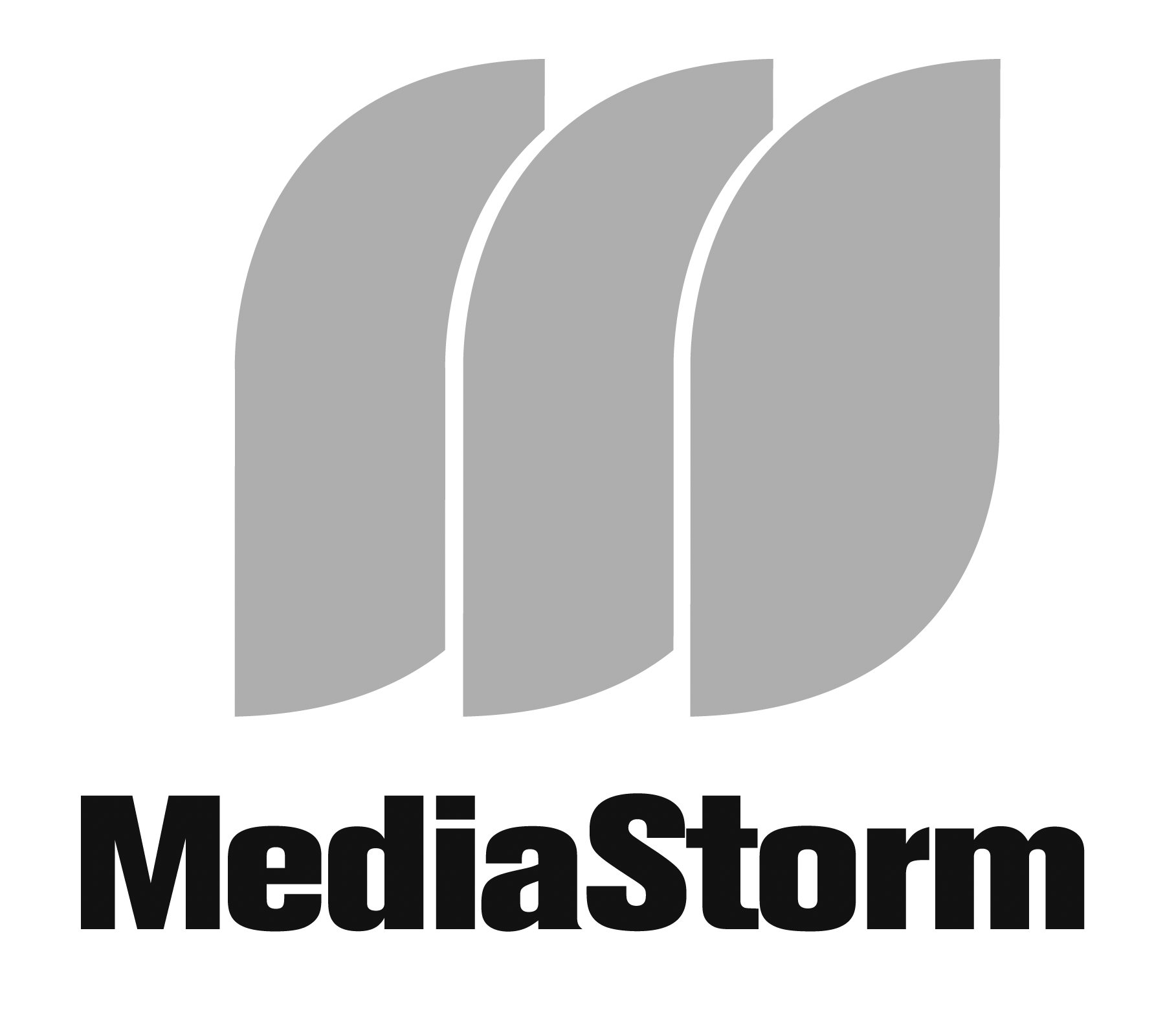 The MedieStorm logo consisting of a stylized, abstract design in gray and black, with the brand name 'MedieStorm' written underneath.