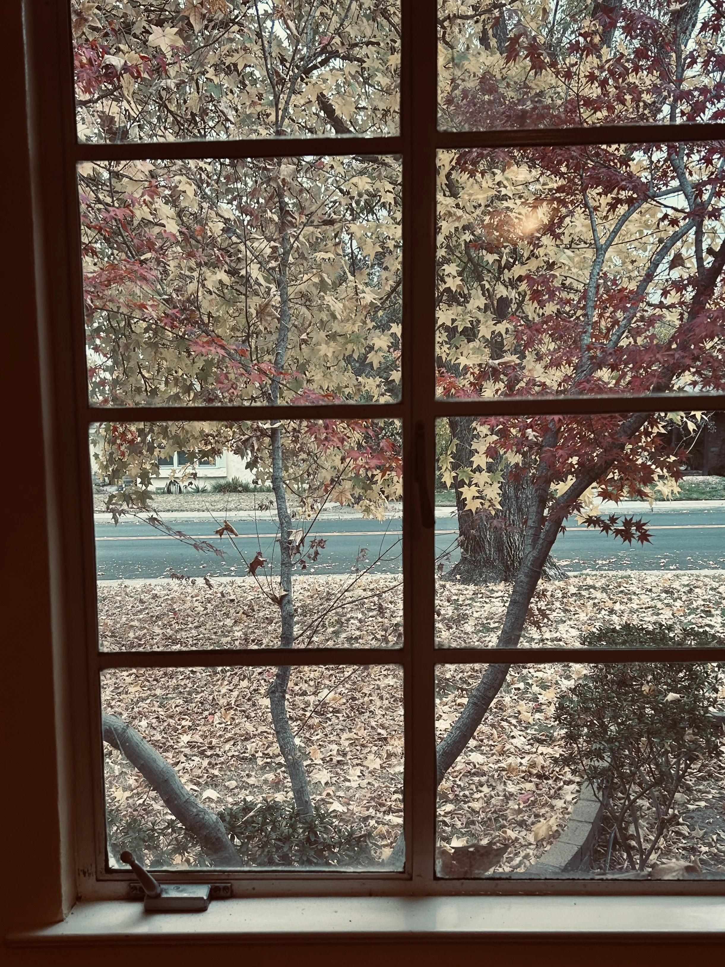 on home: and firsts and lasts