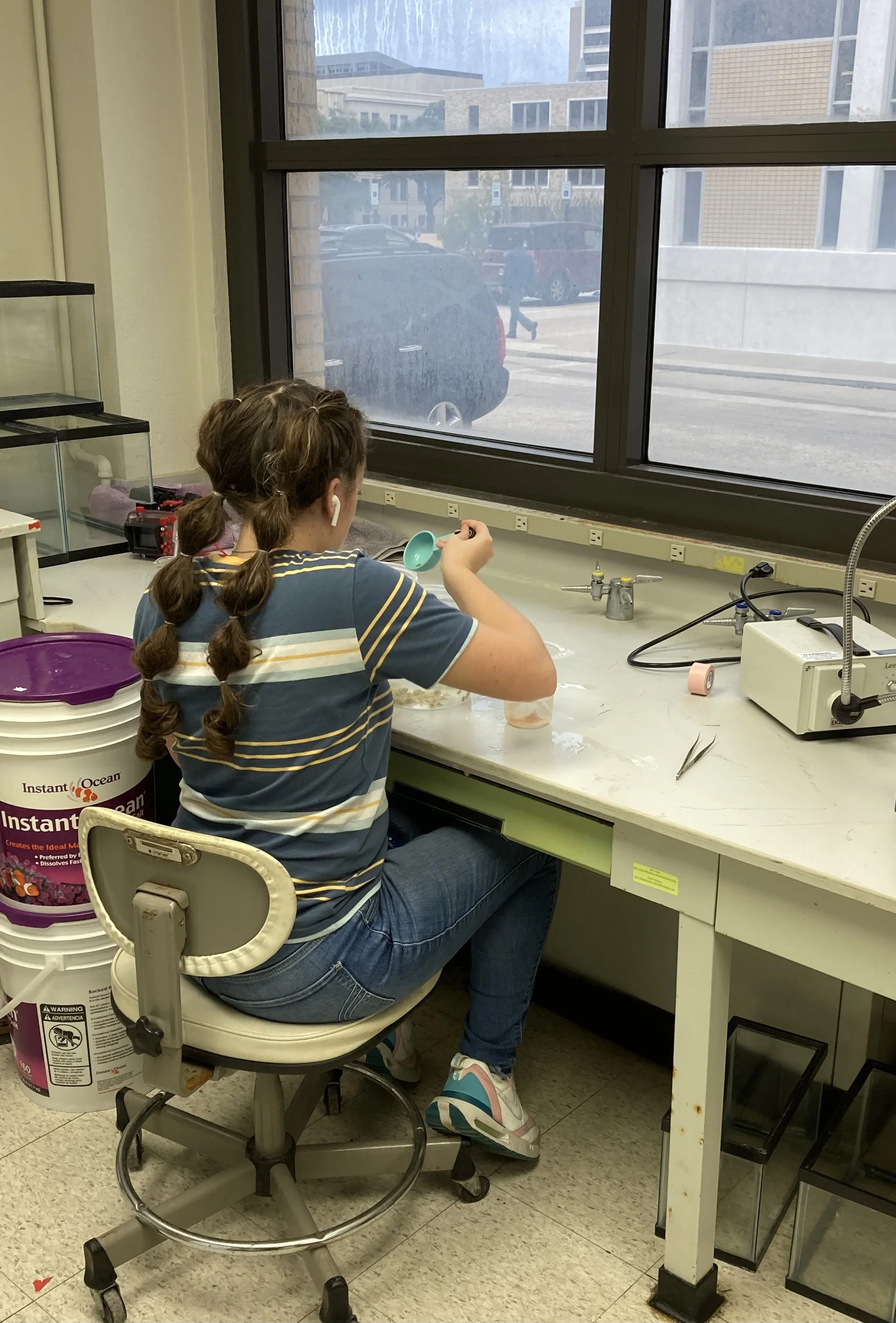 Undergraduate mentee working in the Strader lab