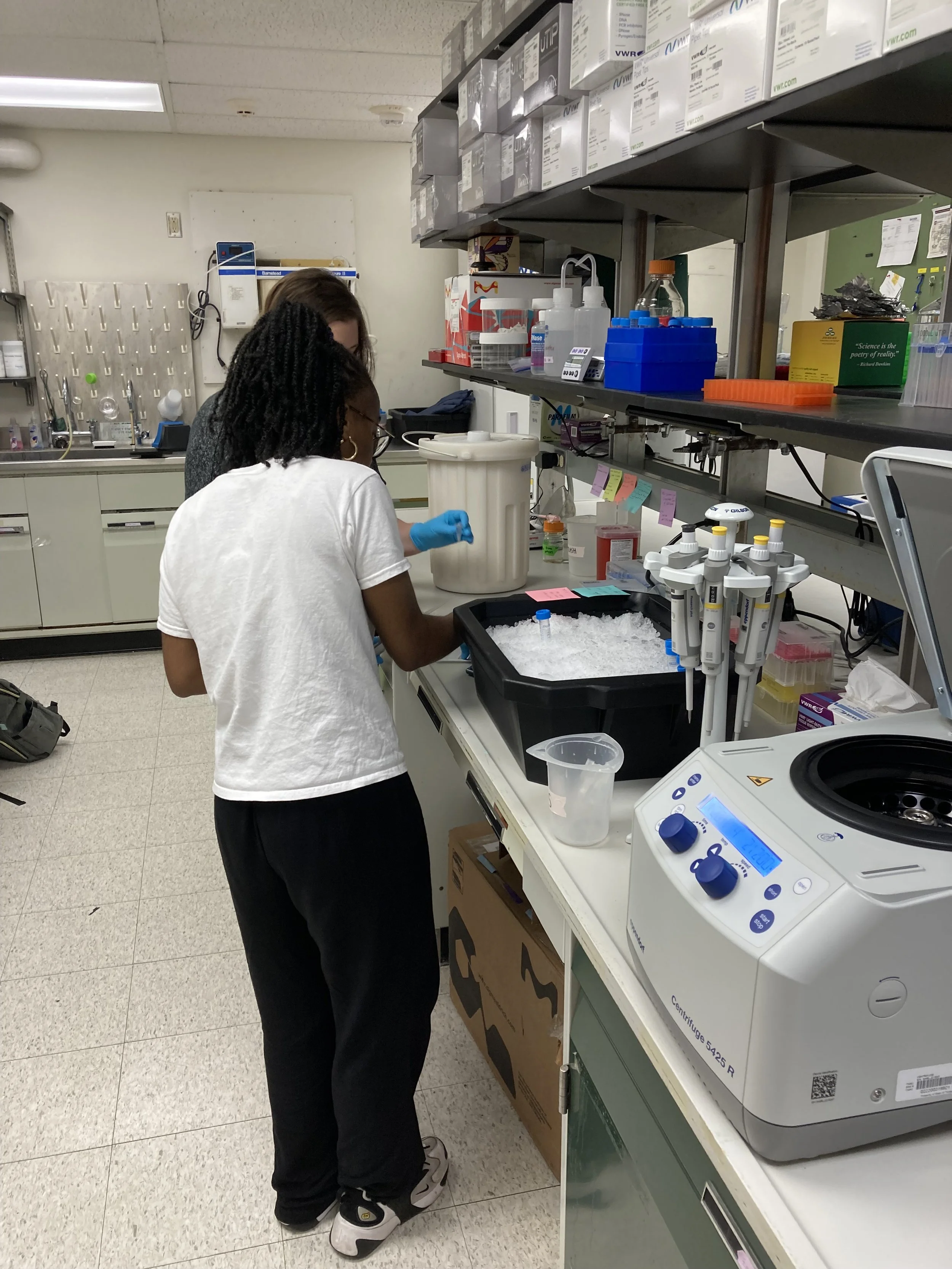 REU student working in the Strader Lab