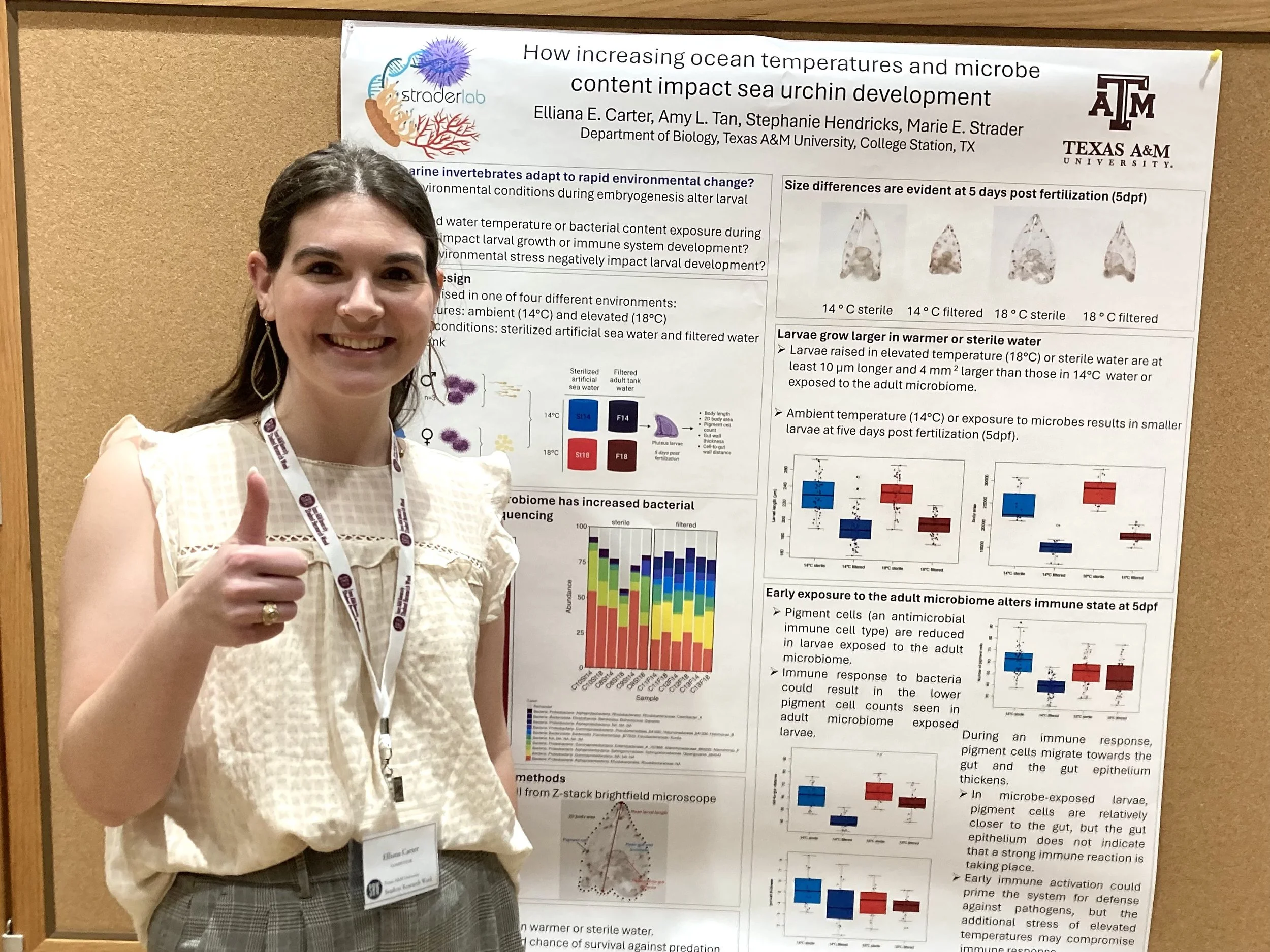 Undergraduate mentee presenting at TAMU Student Research Week