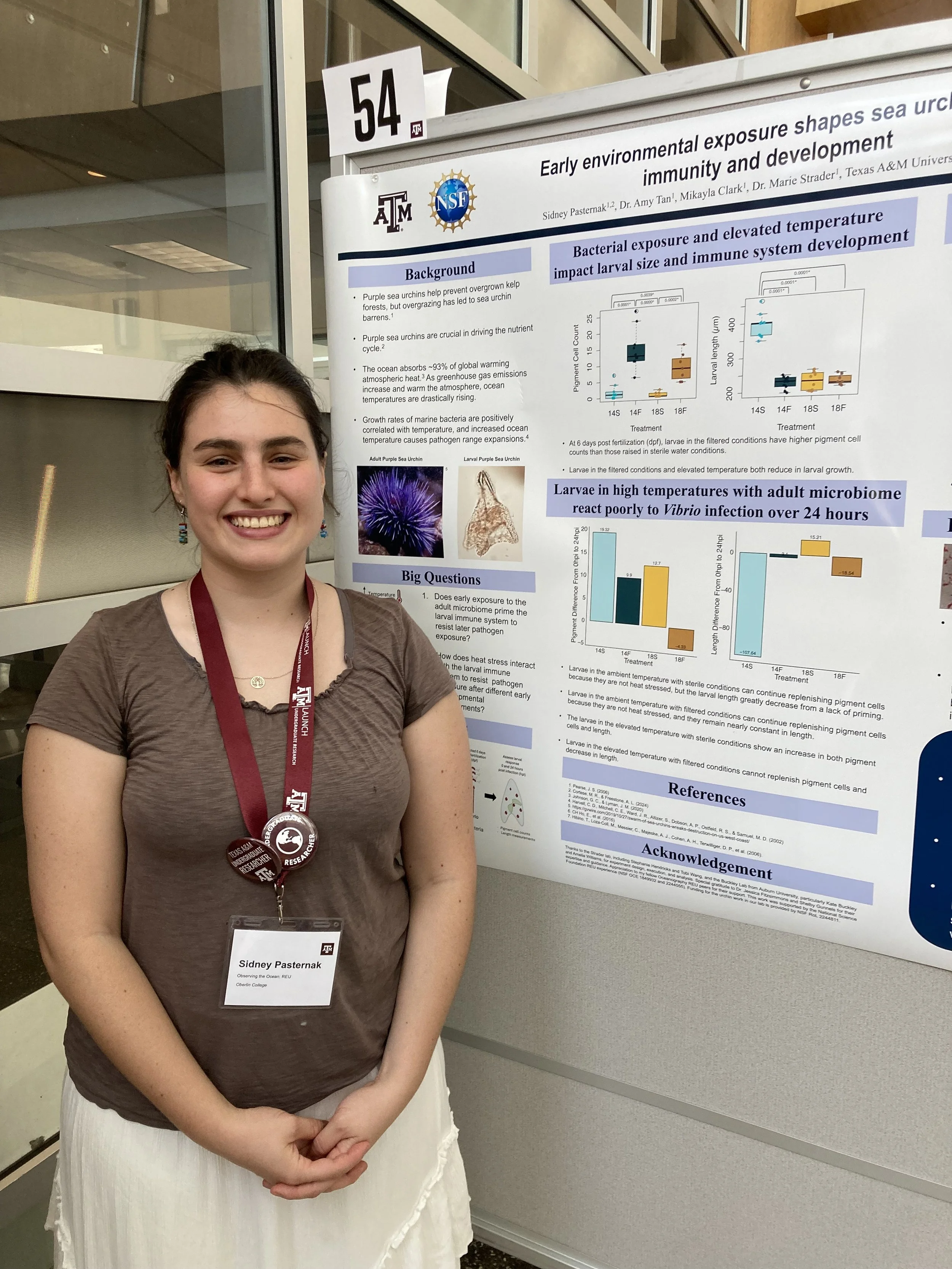 REU mentee presenting at TAMU LAUNCH Symposium