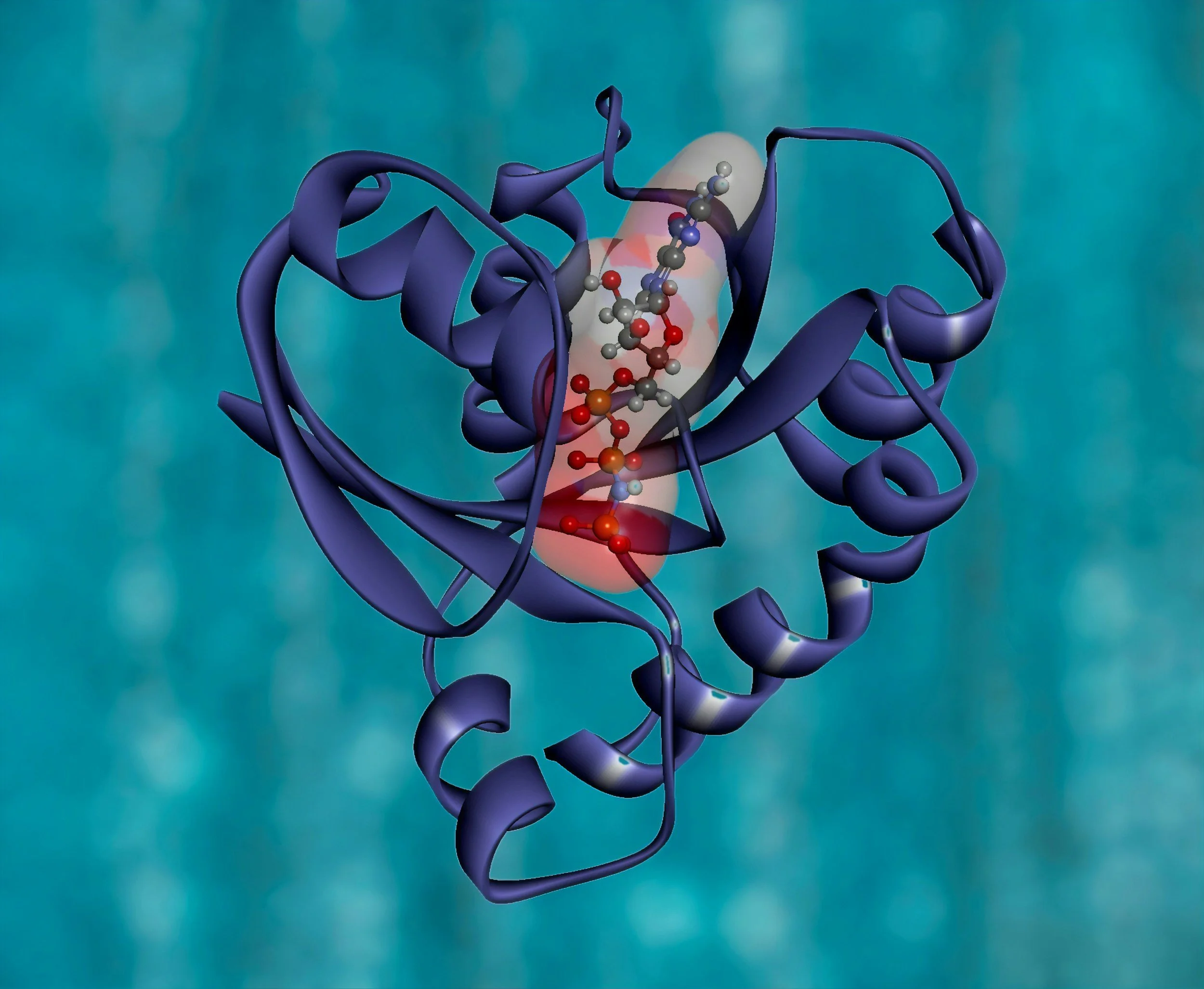 3D molecular model depicting a protein with a coiled structure, with a highlighted segment of a molecule inside it, against a blue-green blurred background.