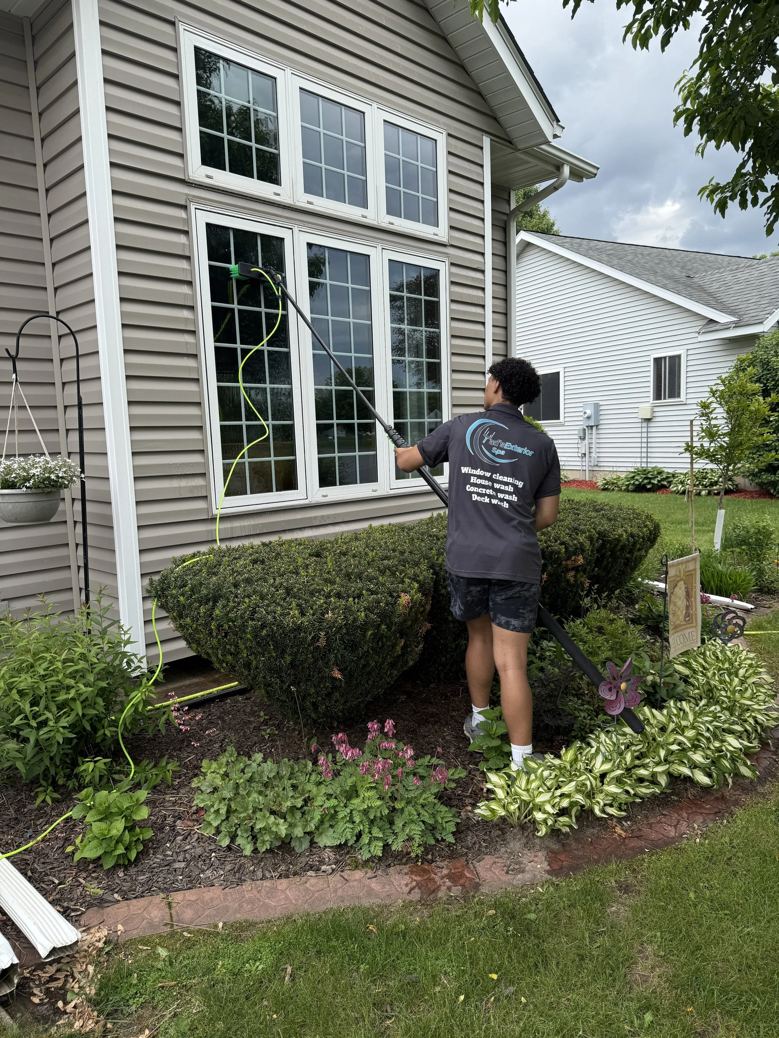 A person window cleaning the exterior window of a house in a landscaped yard with flowering plants and bushes.