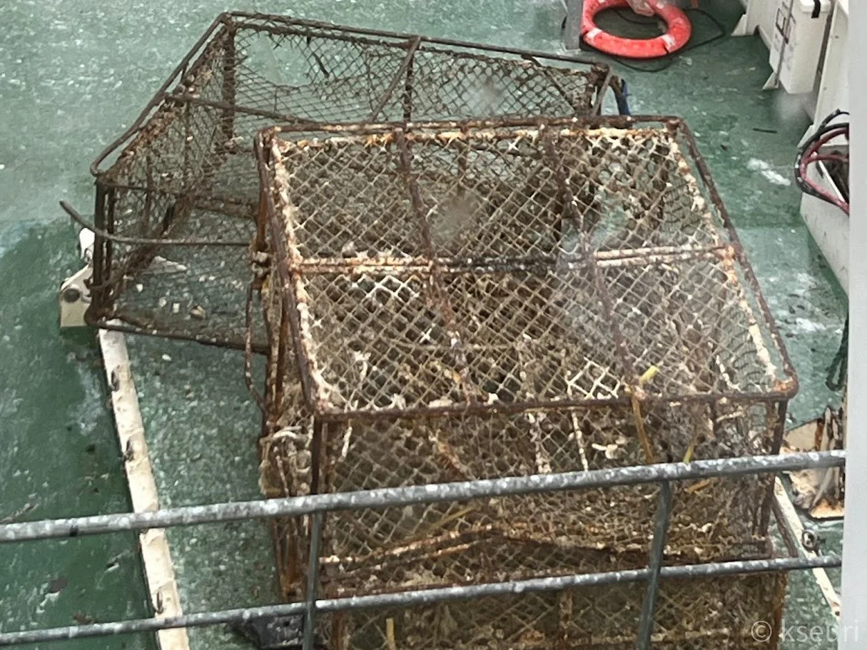 AF Trip 5.24 derelict crabpots URI.jpeg